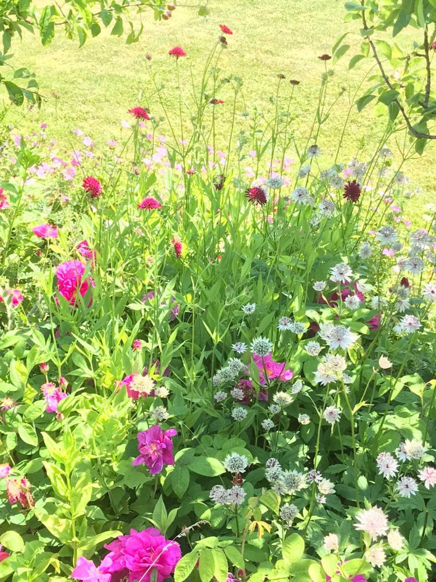 Gift card for Beryl Country House