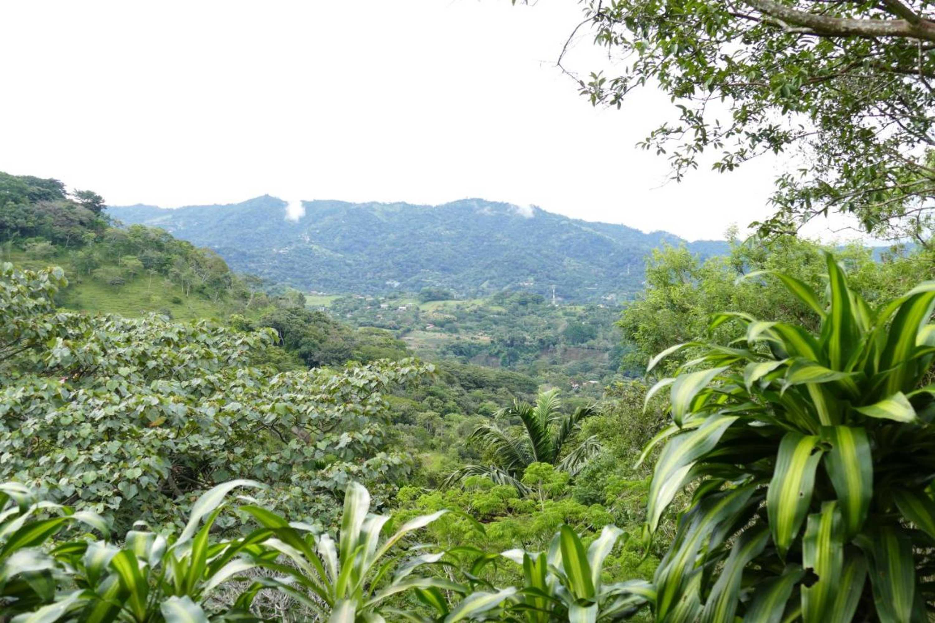 Gift card for Bungalows Sanlaz