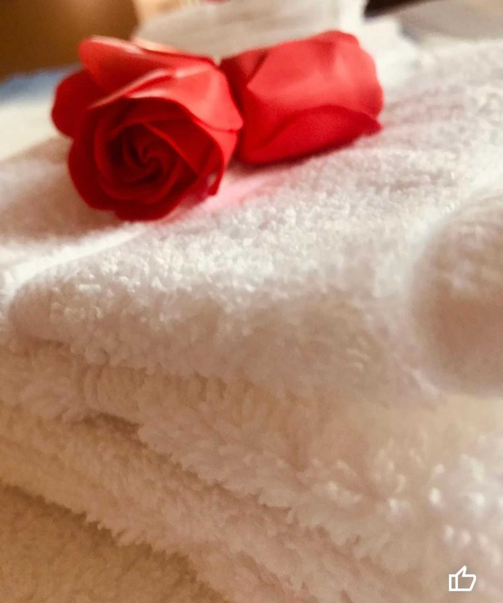 Gift card for The Steam Packet