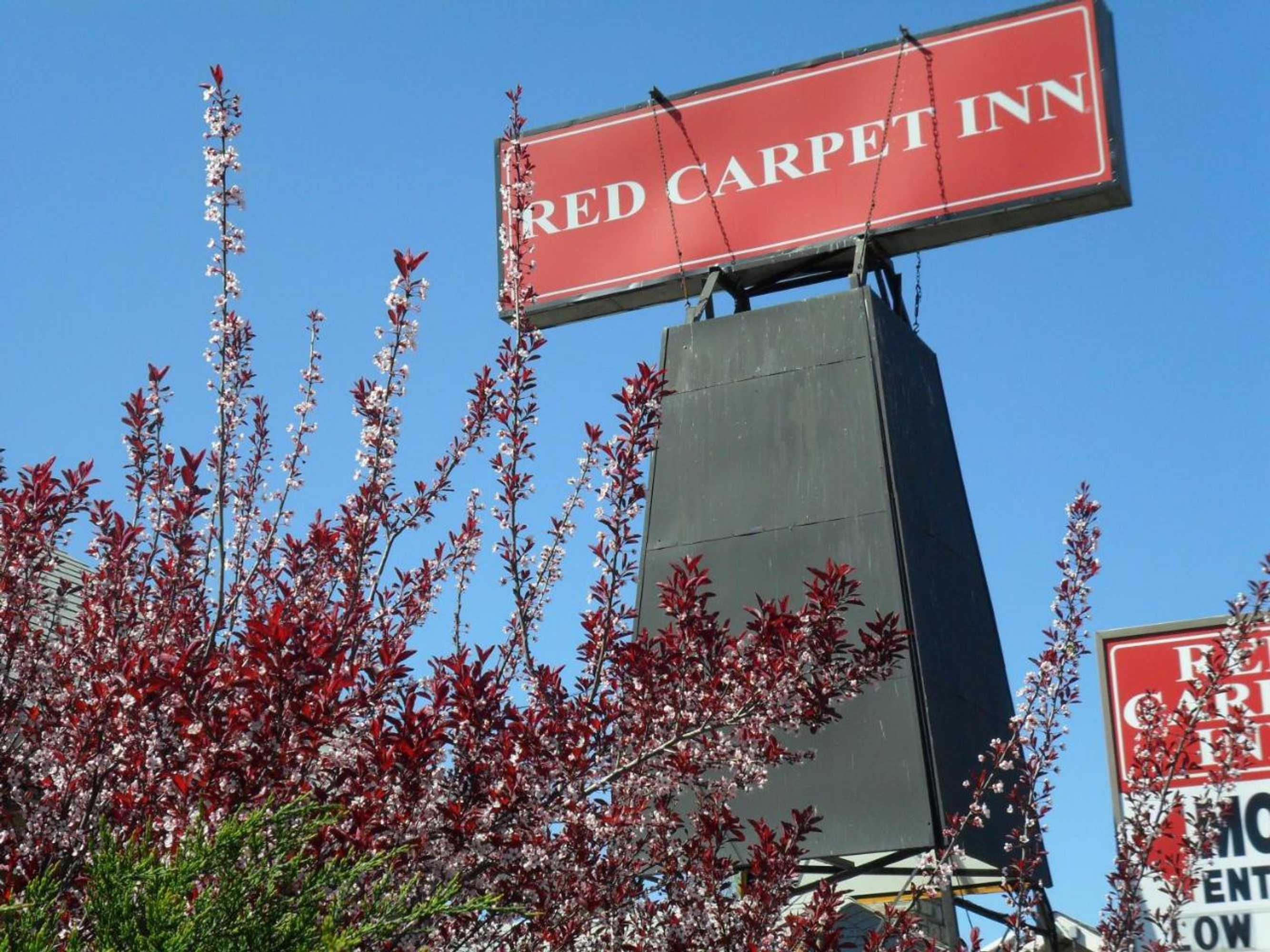 Gift card for Red Carpet Inn Brooklawn