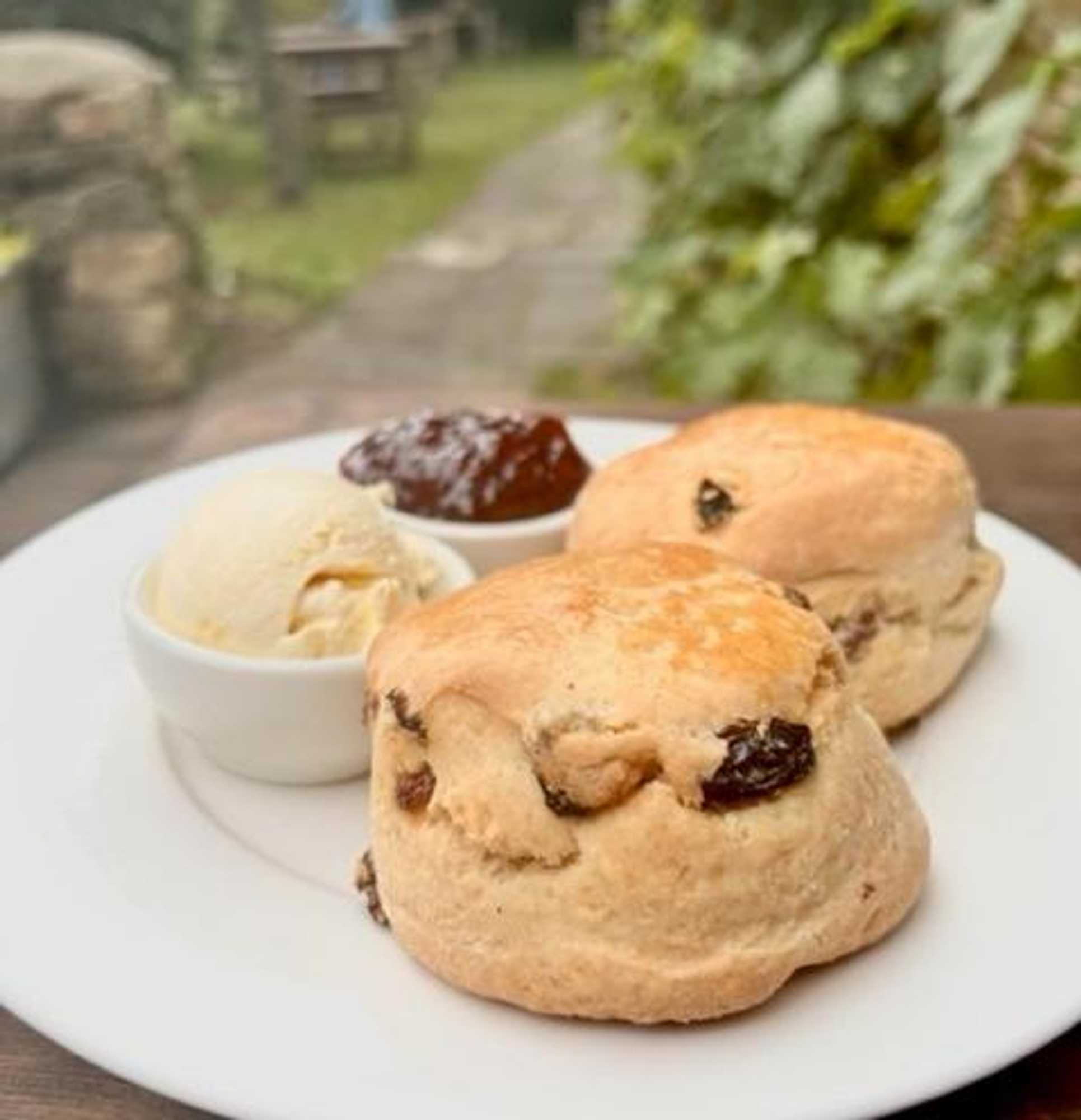 Gift card for Sign of The Angel