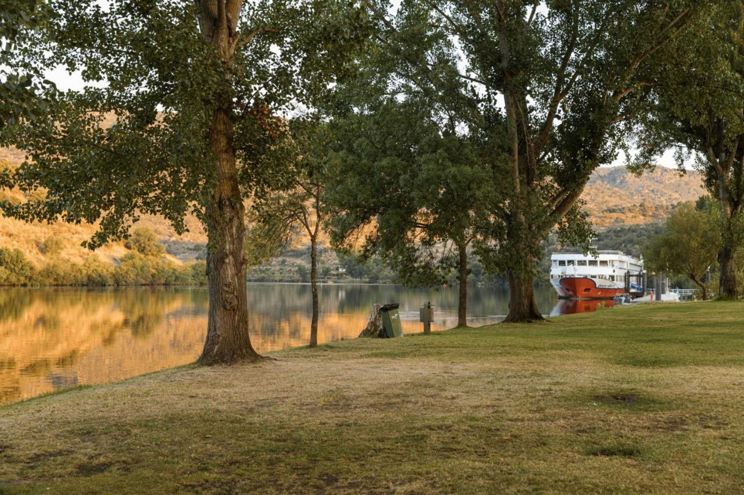 Gift card for Olhares do Douro 