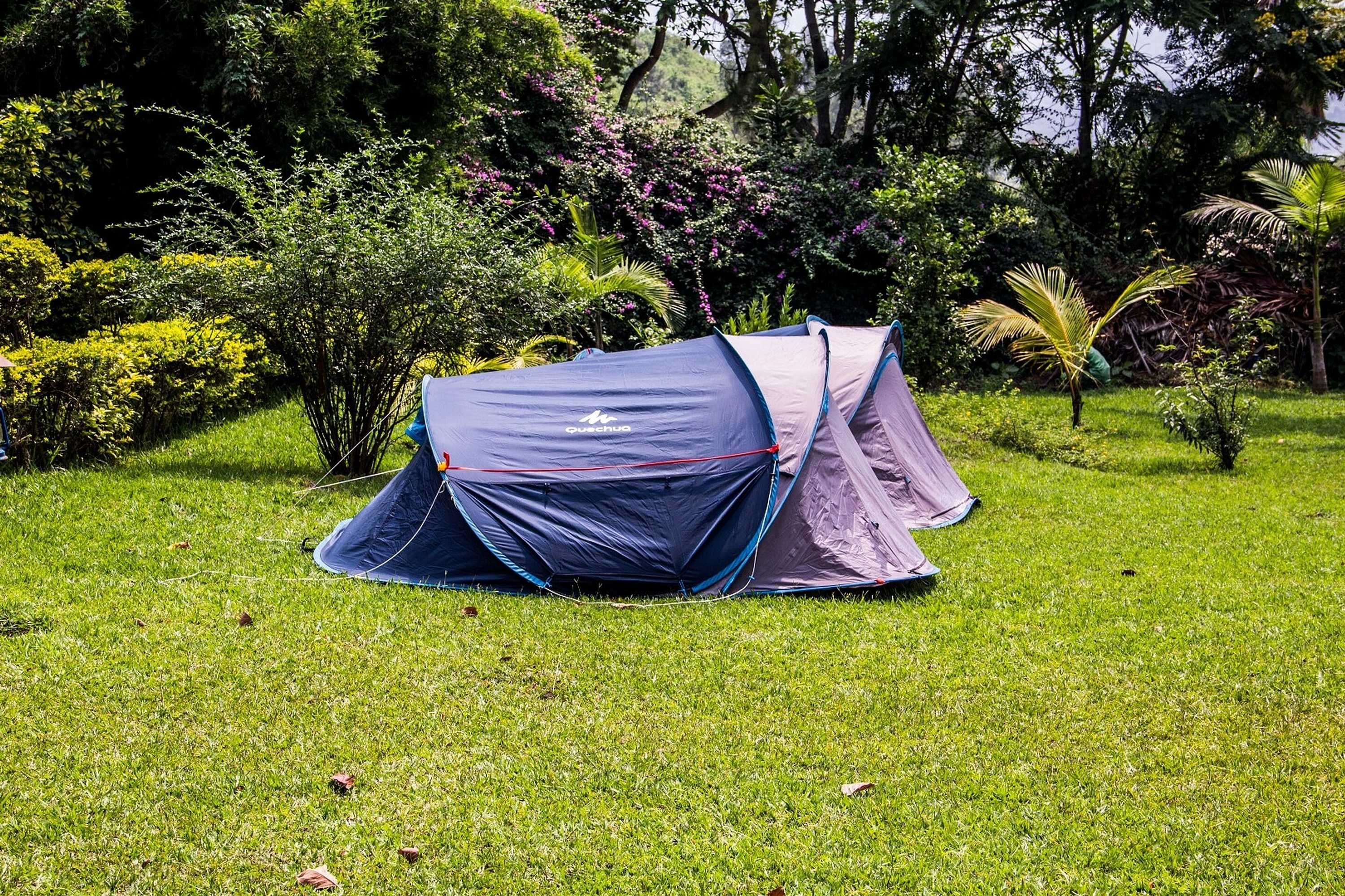 Gift card for Hakuna Matata Lodge Gift card for Hakuna Matata Lodge