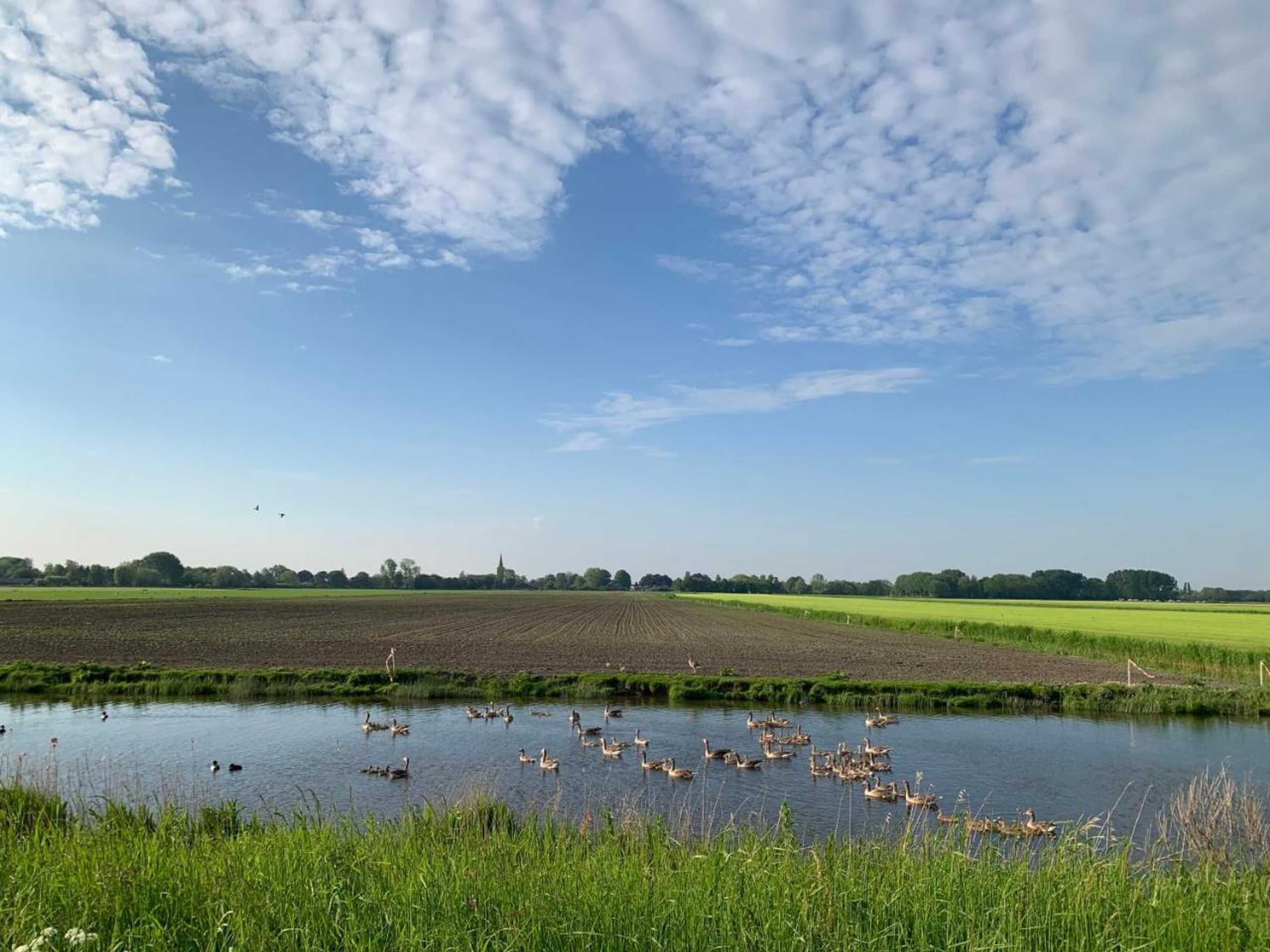 Gift card for Het Twiscker Huys