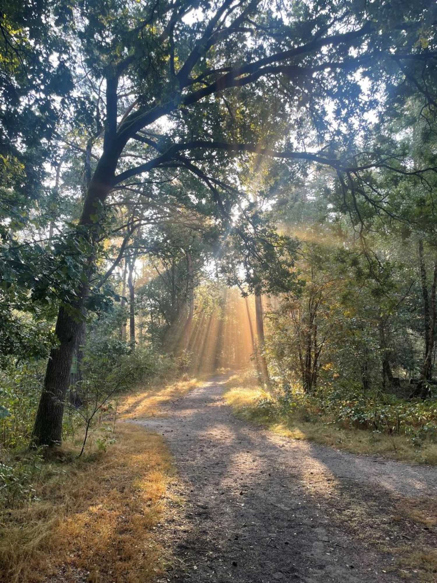 Gift card for Duynparc Soest