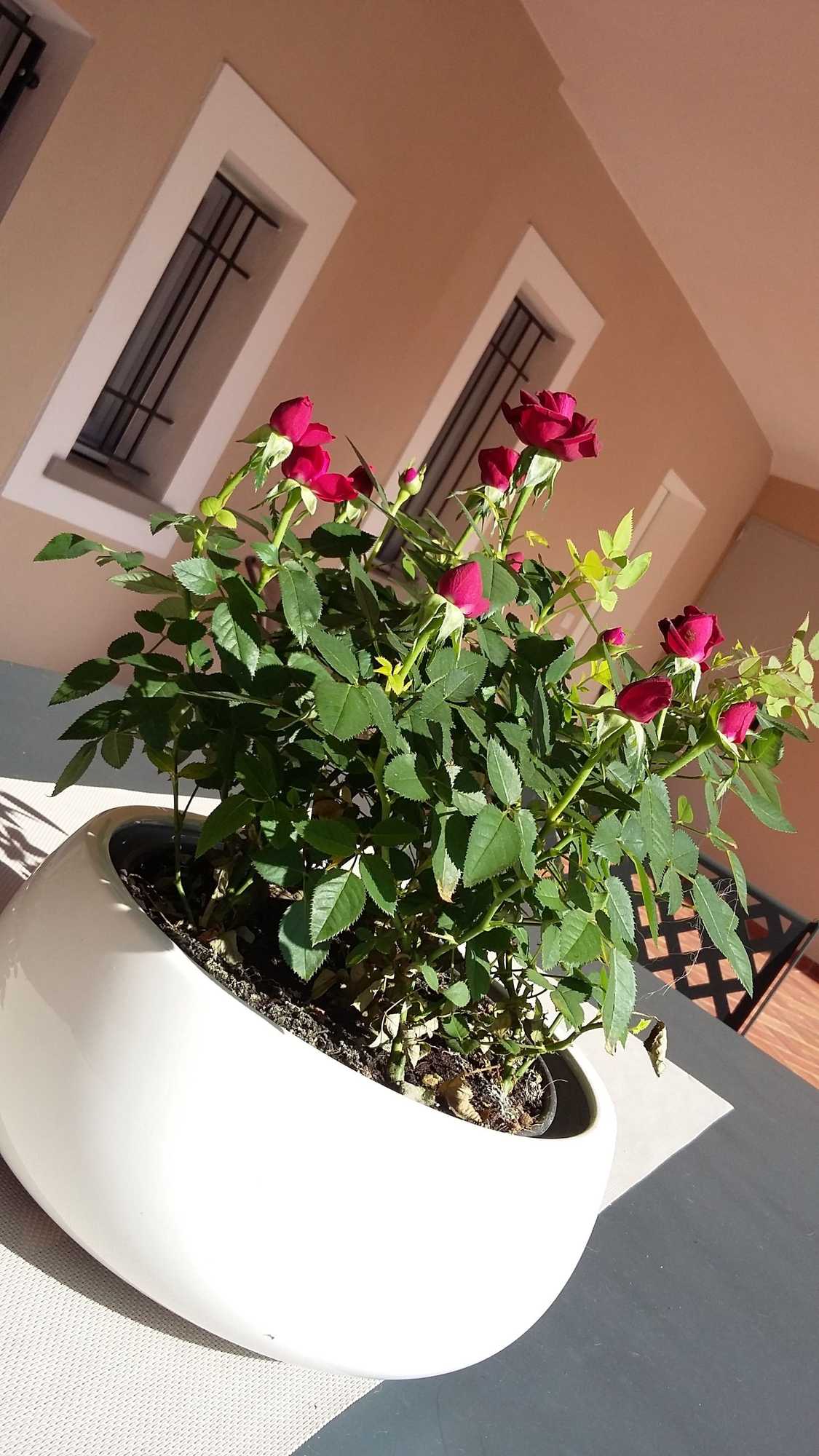 Gift card for B&b Cascina San Martino Gift card for B&b Cascina San Martino