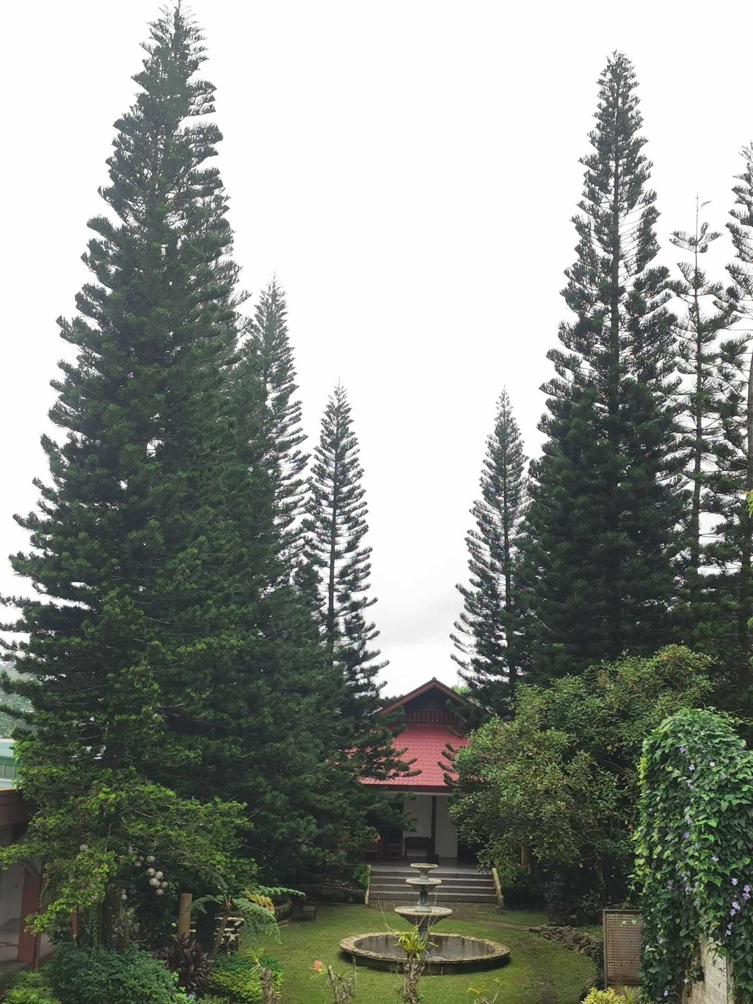 Gift card for Tagaytay Country Hotel Gift card for Tagaytay Country Hotel