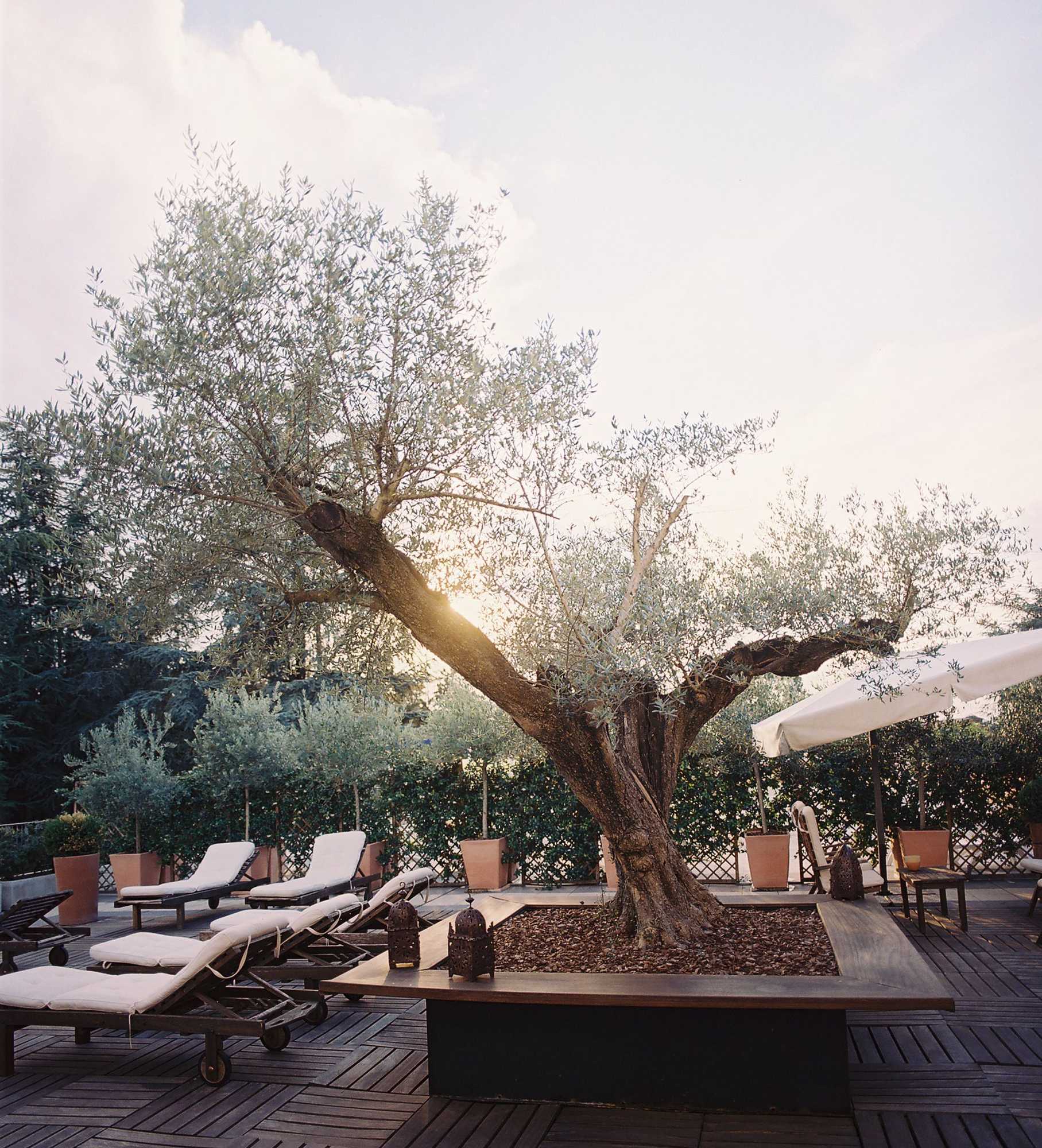 Gift card for Hotel Terme Gift card for Hotel Terme