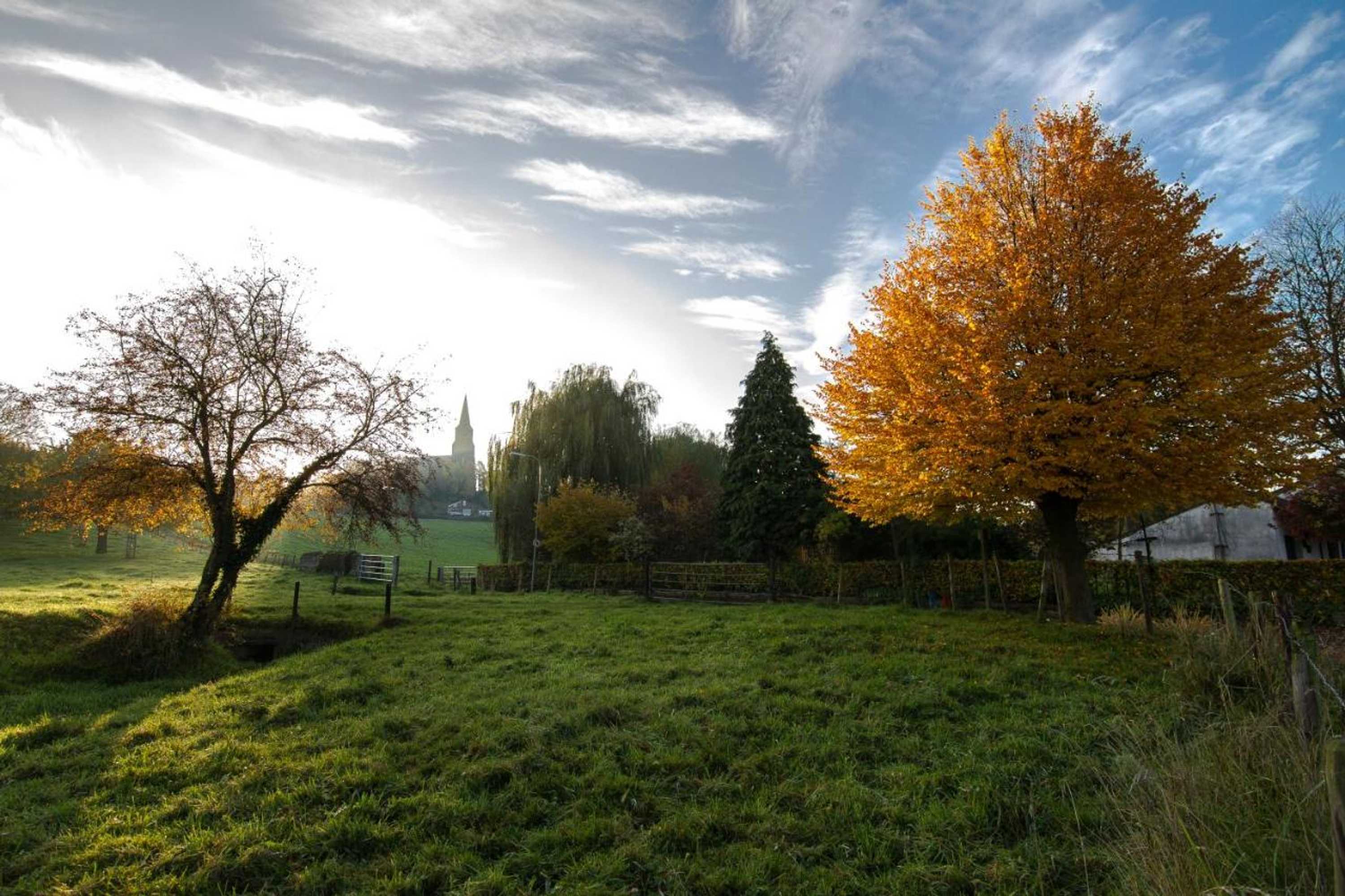 Gift card for Hotel Cuba Libre