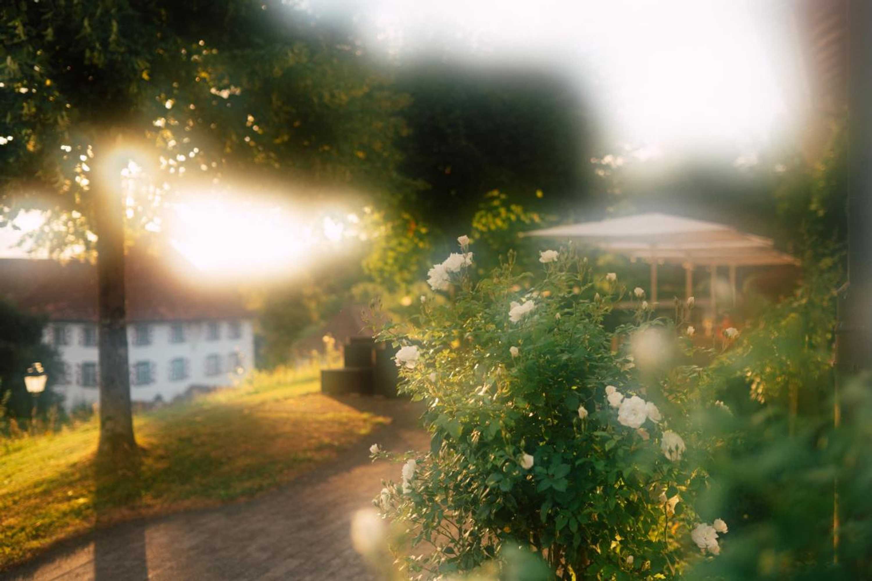 Gift card for Schloss Freudenfels