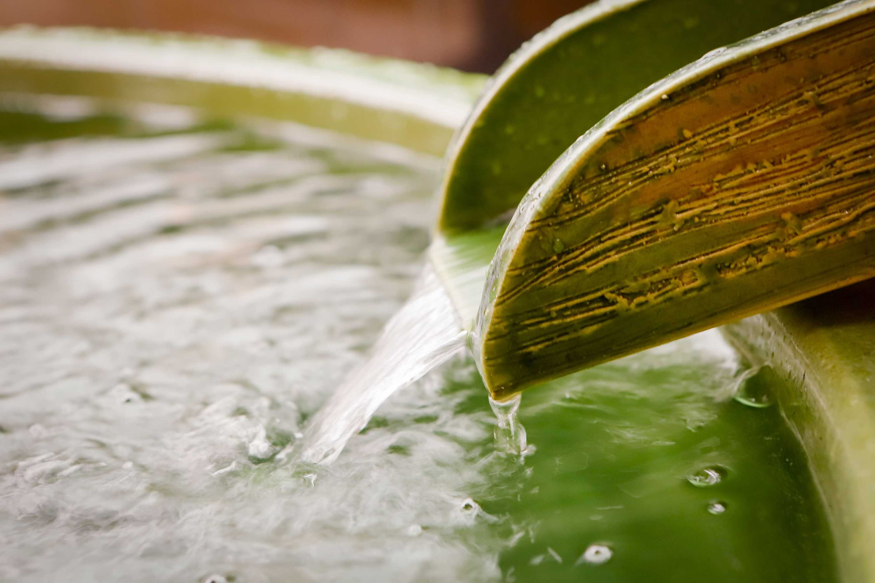 Gift card for Yurakujo