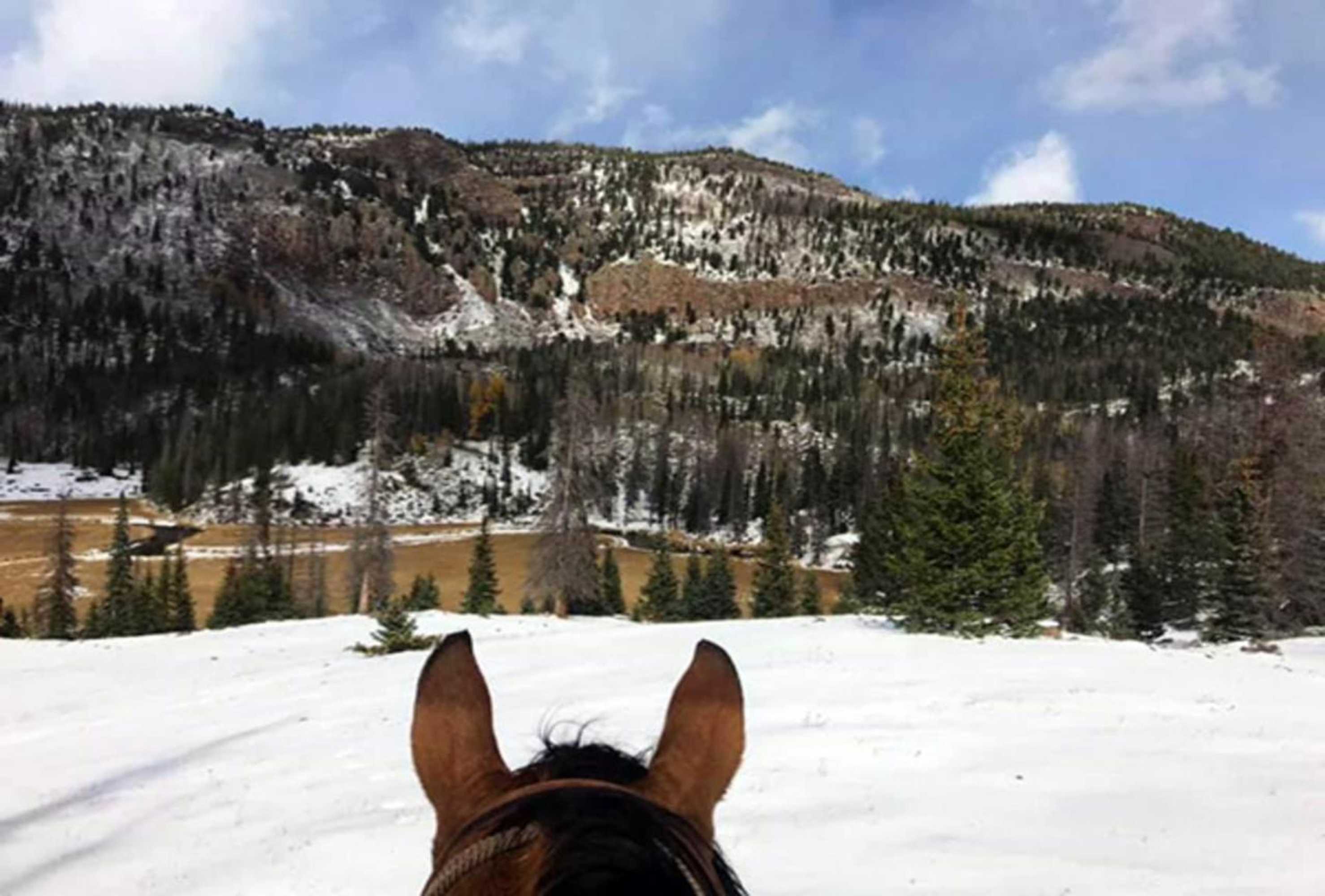 Gift card for Casa de Santa Ana da Beira