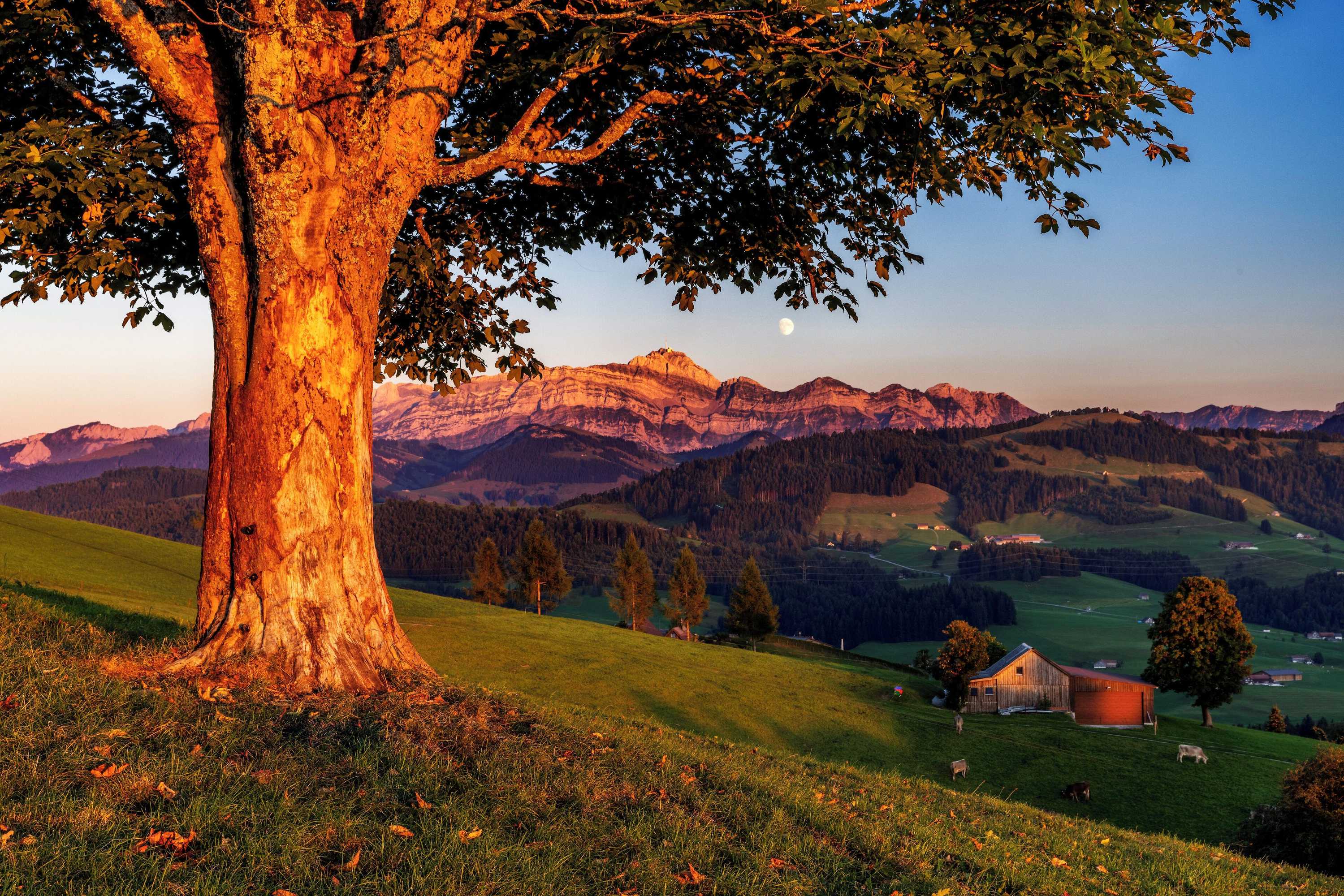 Gift card for Hotel- Restaurant Krone