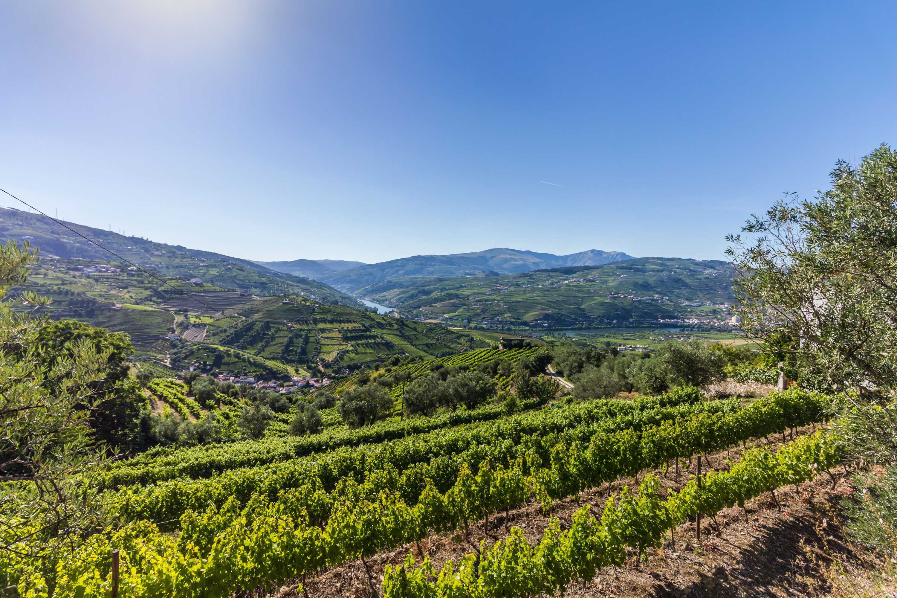 Gift card for Casa de Monsanto I Lamego