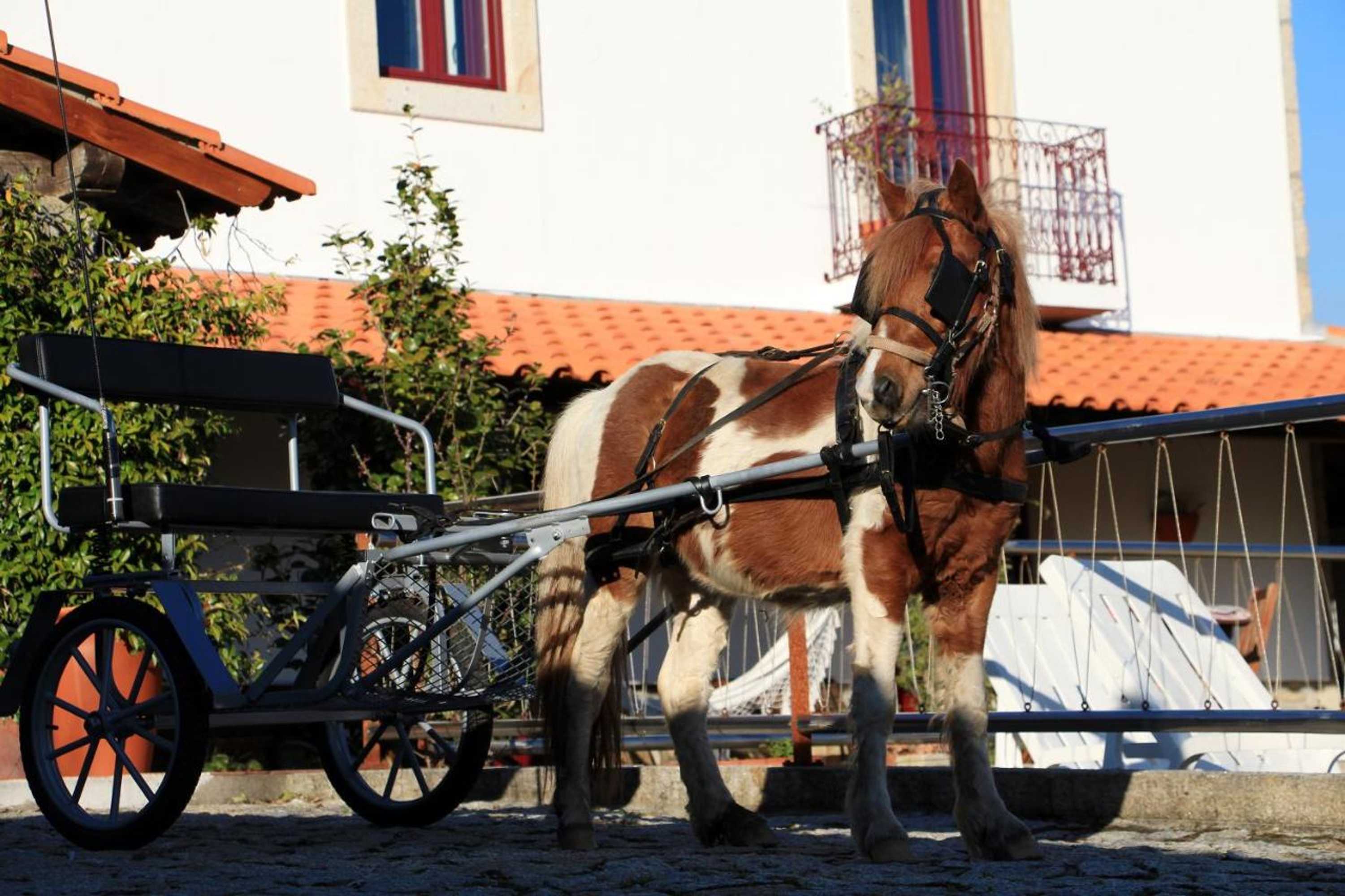 Gift card for Casa Paz do Outeiro