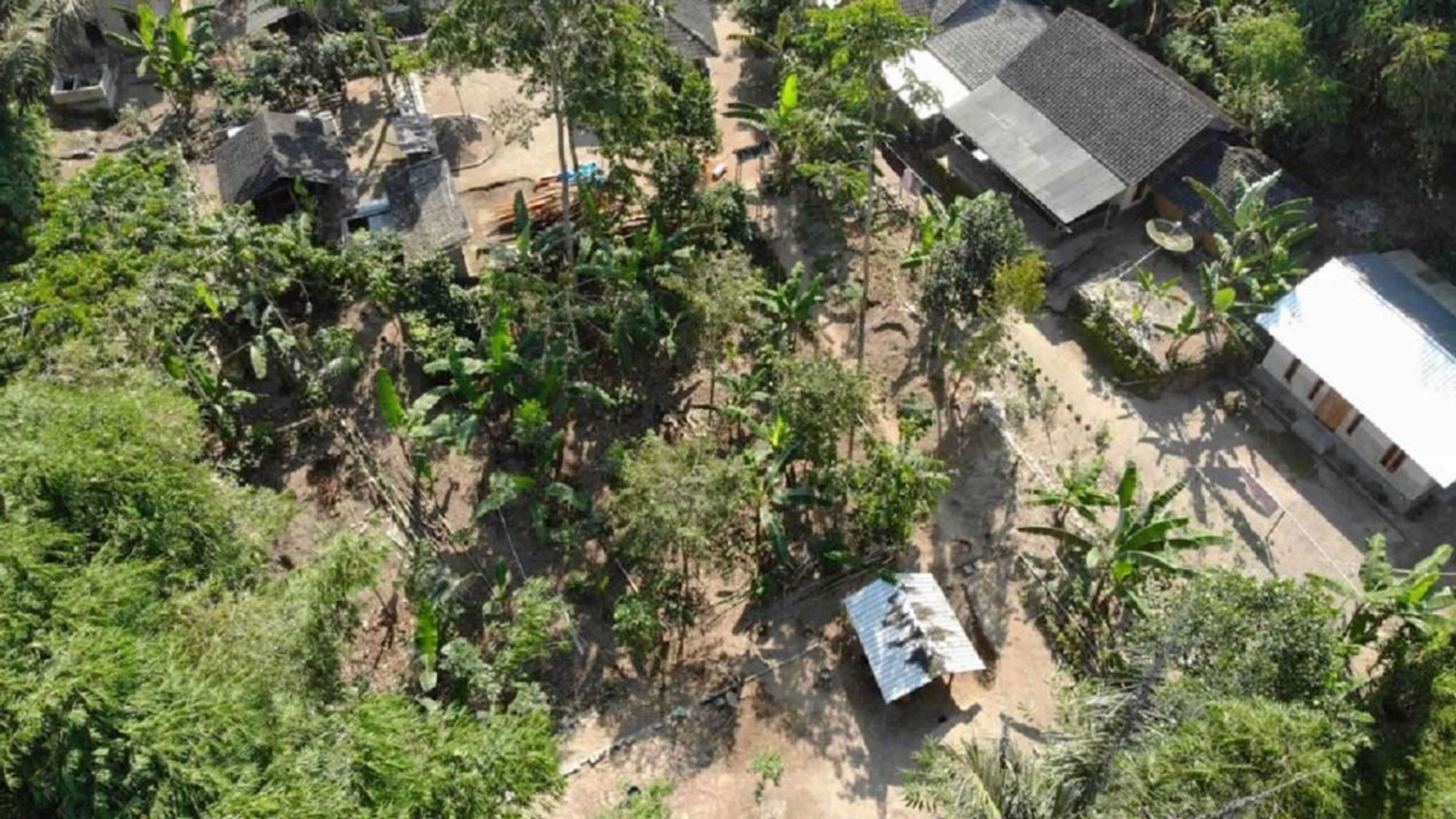 Gift card for Tereng Wilis Jungle Inn