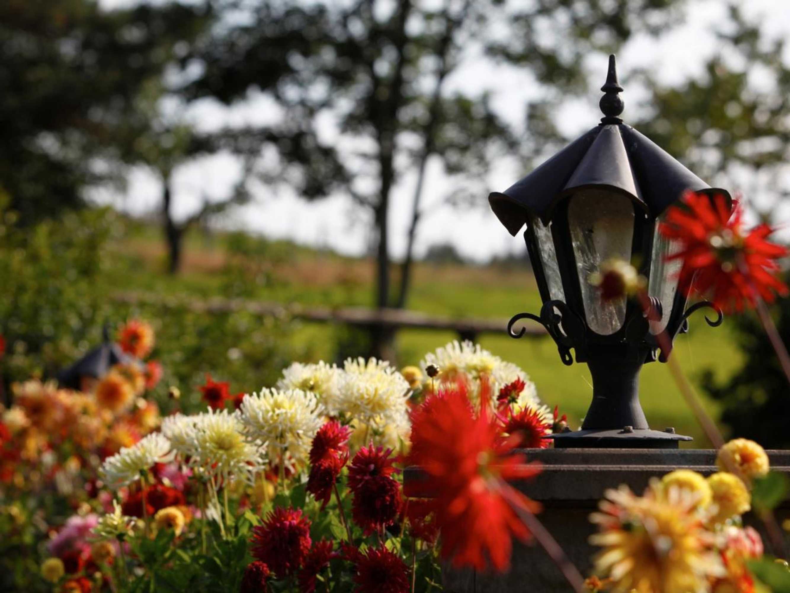 Gift card for Landhotel Halbfas-Alterauge