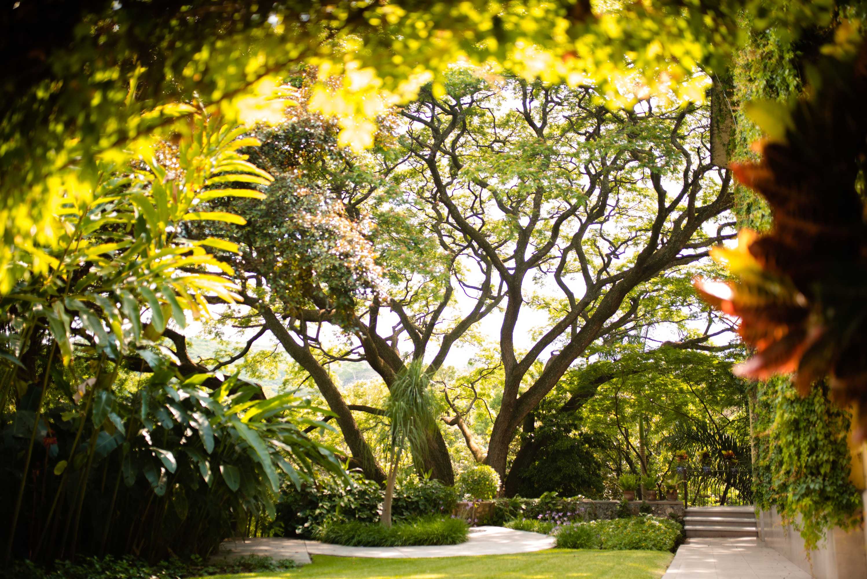 Gift card for Rancho La Joya Gift card for Rancho La Joya