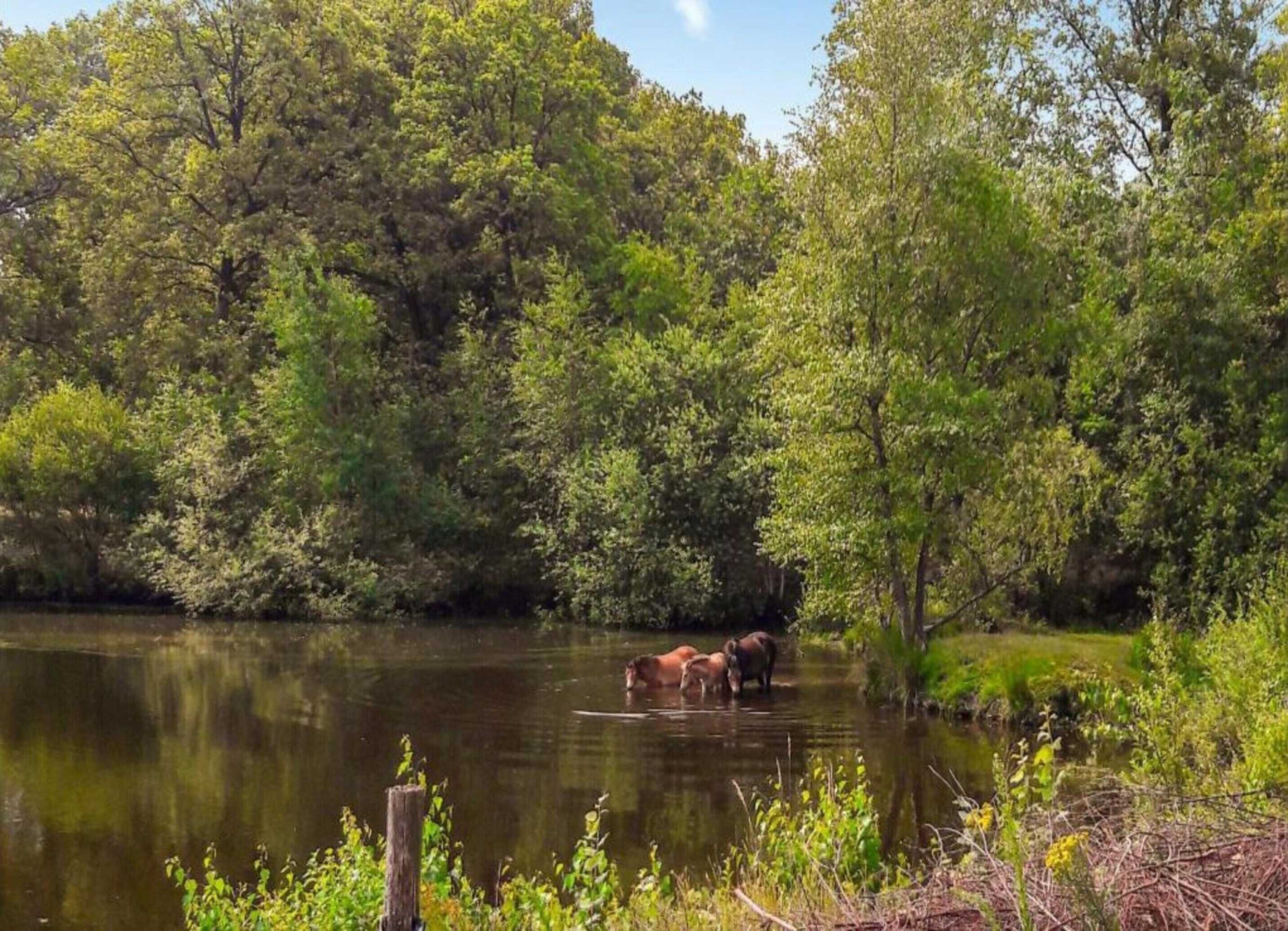 Gift card for Vakantiepark Weerterbergen For 10 Person