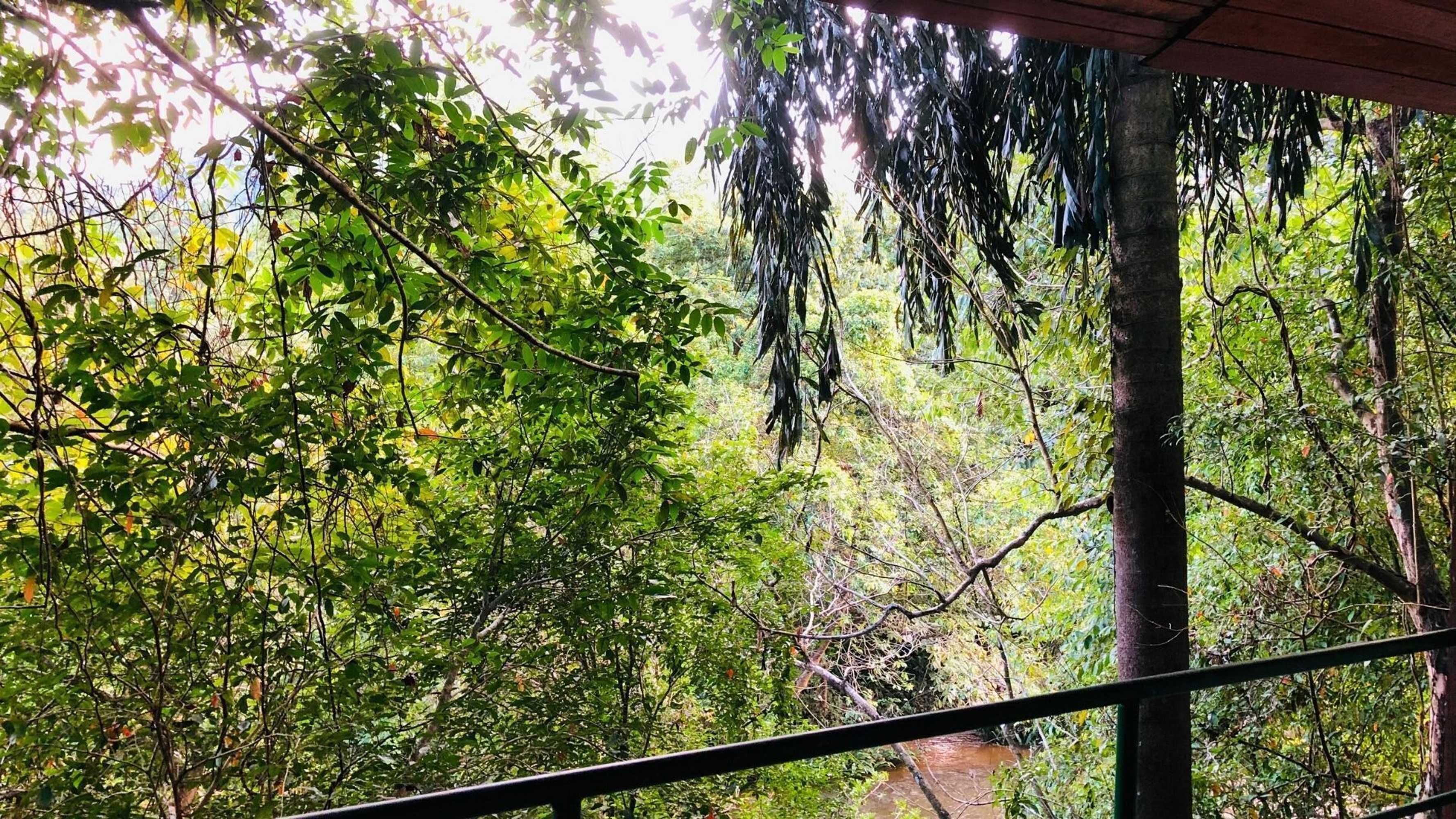 Gift card for Ceylon Nature Hostel Kitulgala Gift card for Ceylon Nature Hostel Kitulgala