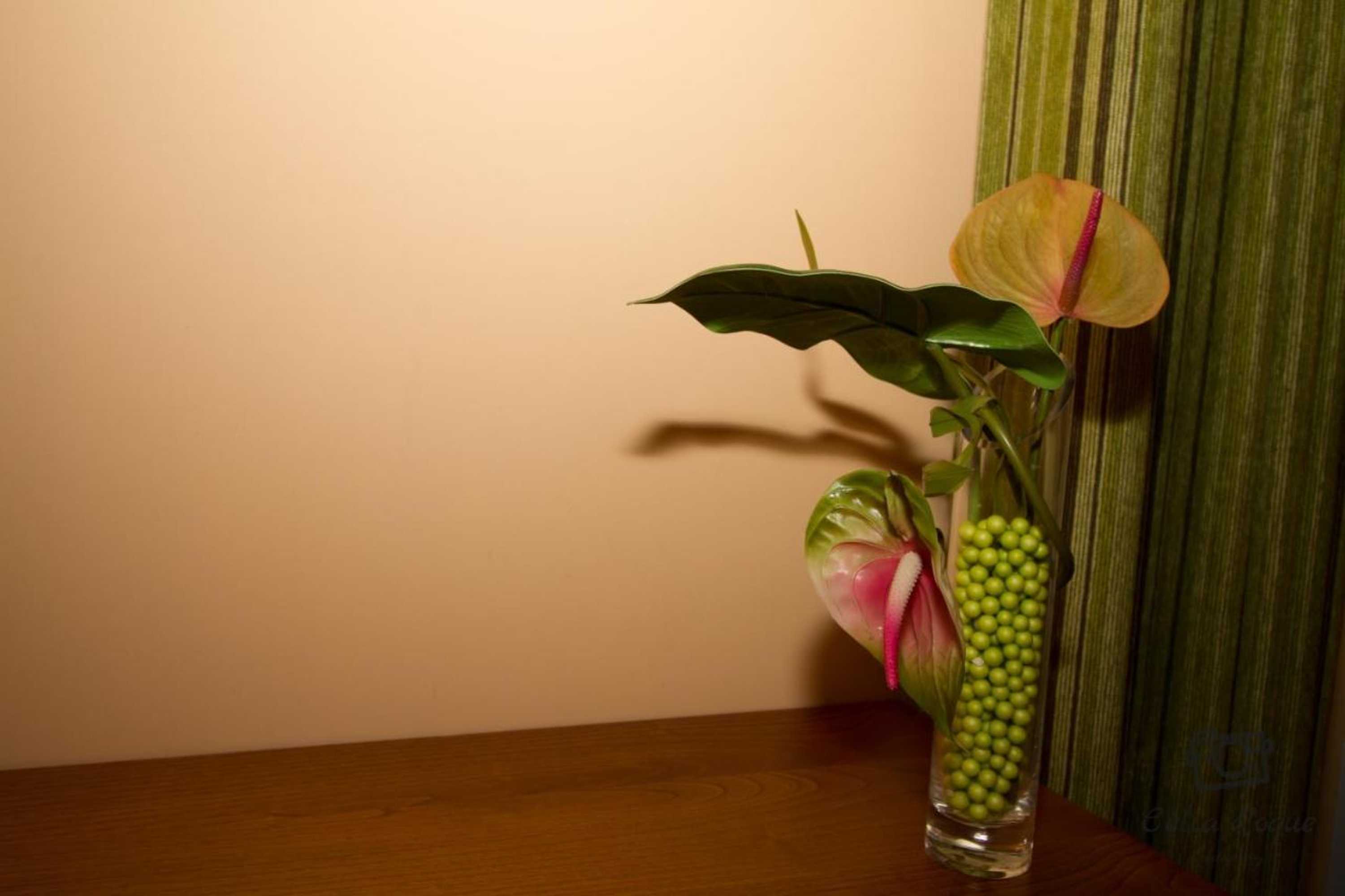 Gift card for Casa do Telheiro