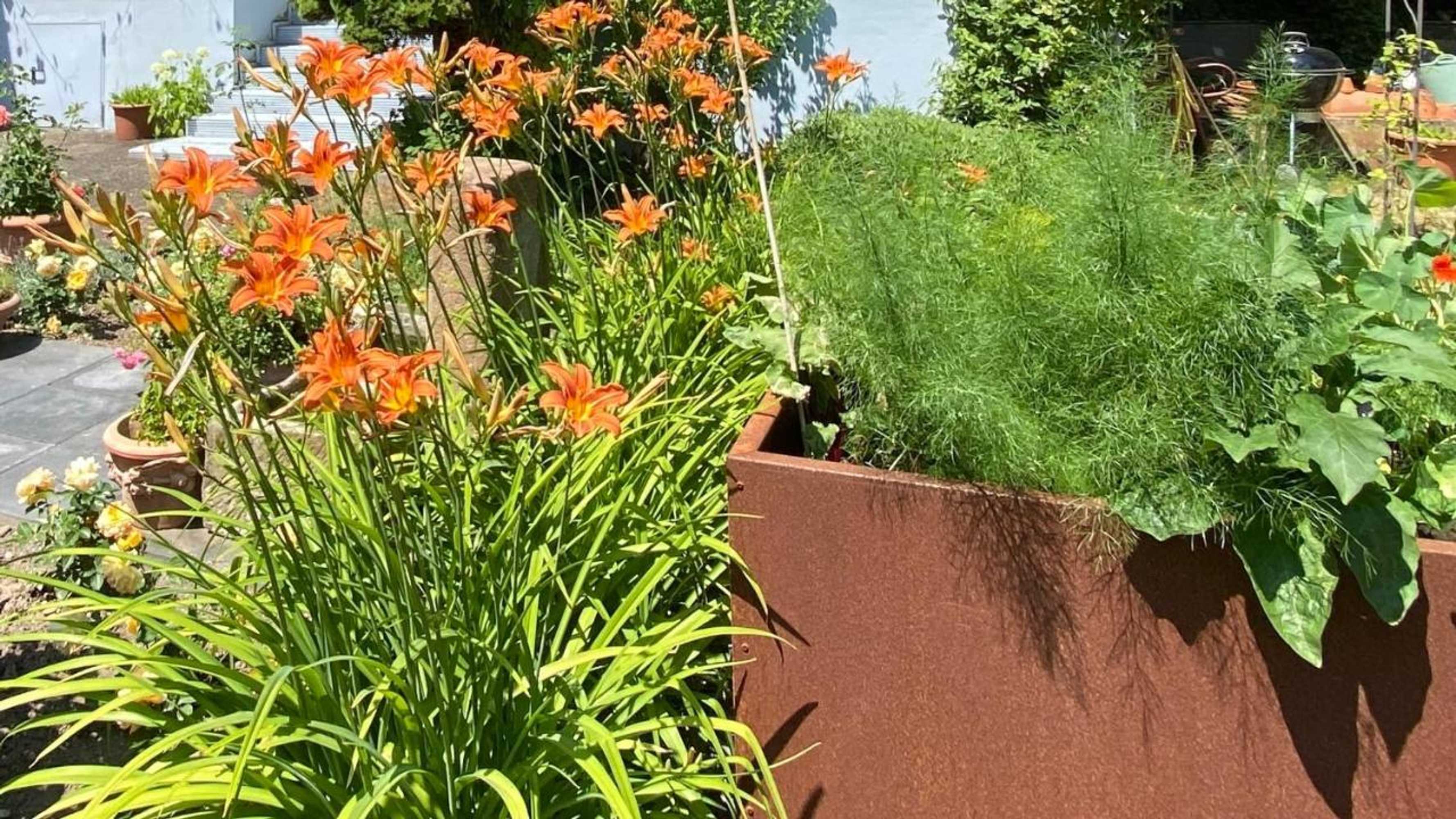 Gift card for Villa Zur Erholung Bed & Breakfast