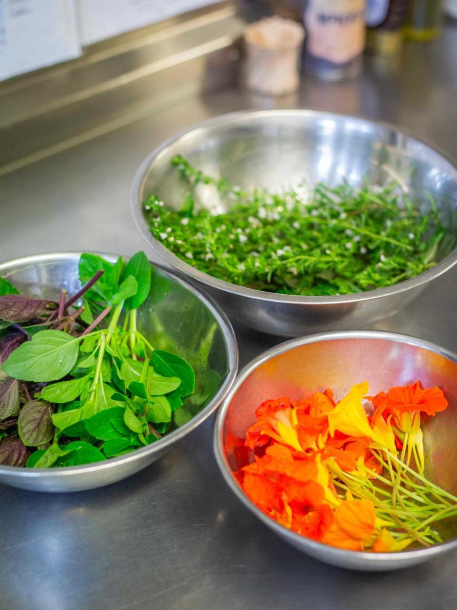 Gift card for Jägerhof Putzkau