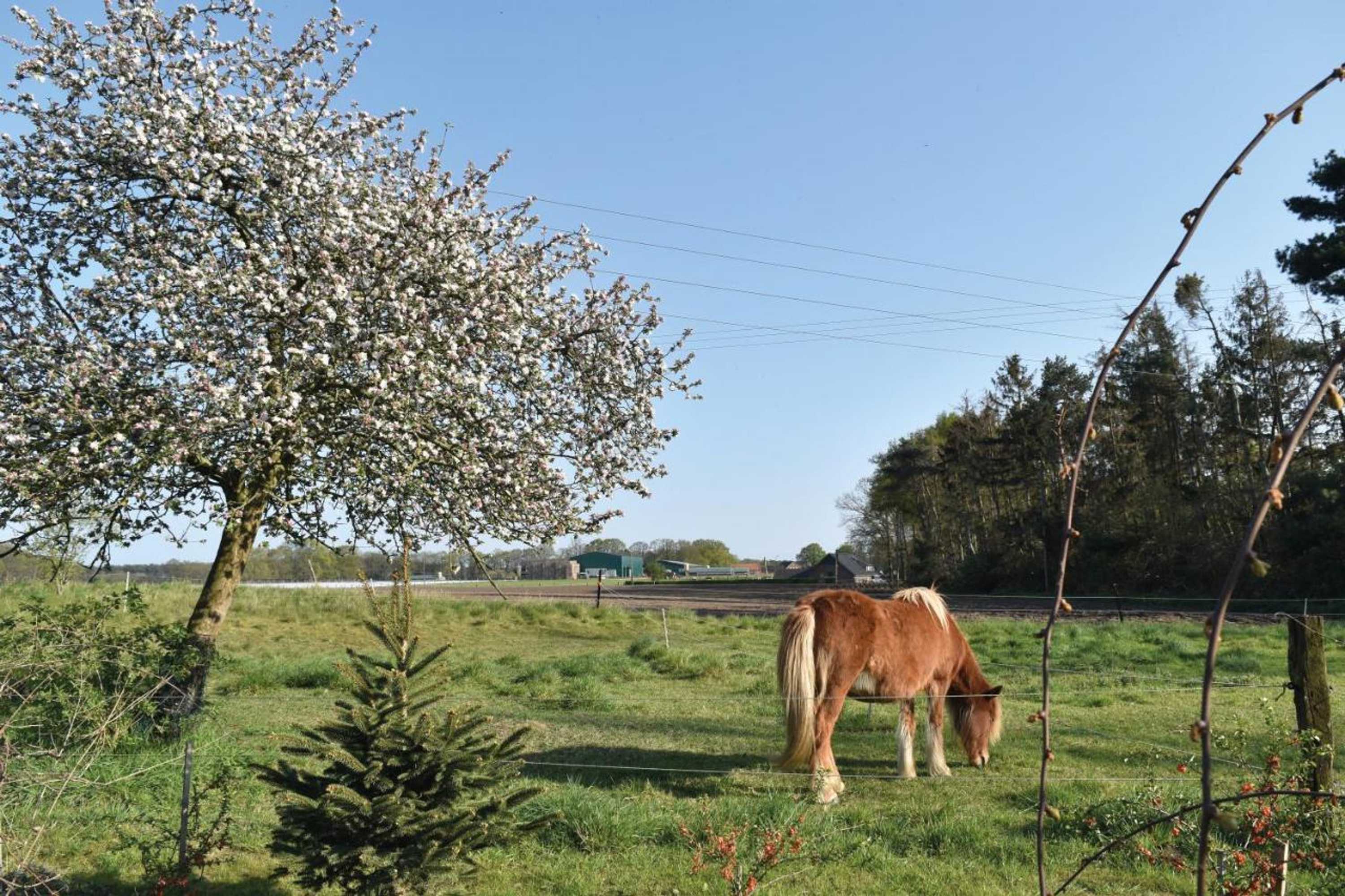 Gift card for Kreativhof Lehmberg