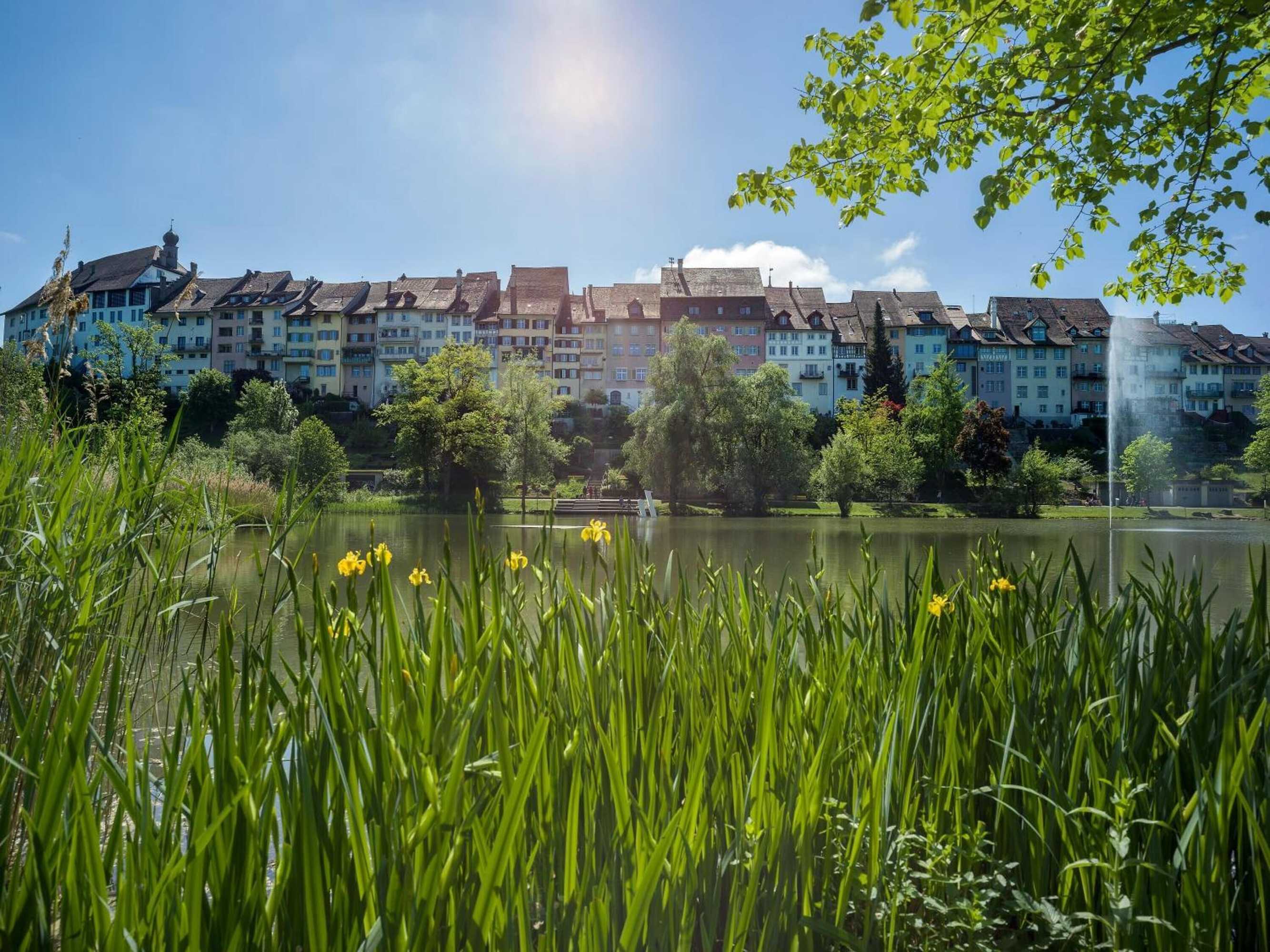 Gift card for Flexy.motel Wil