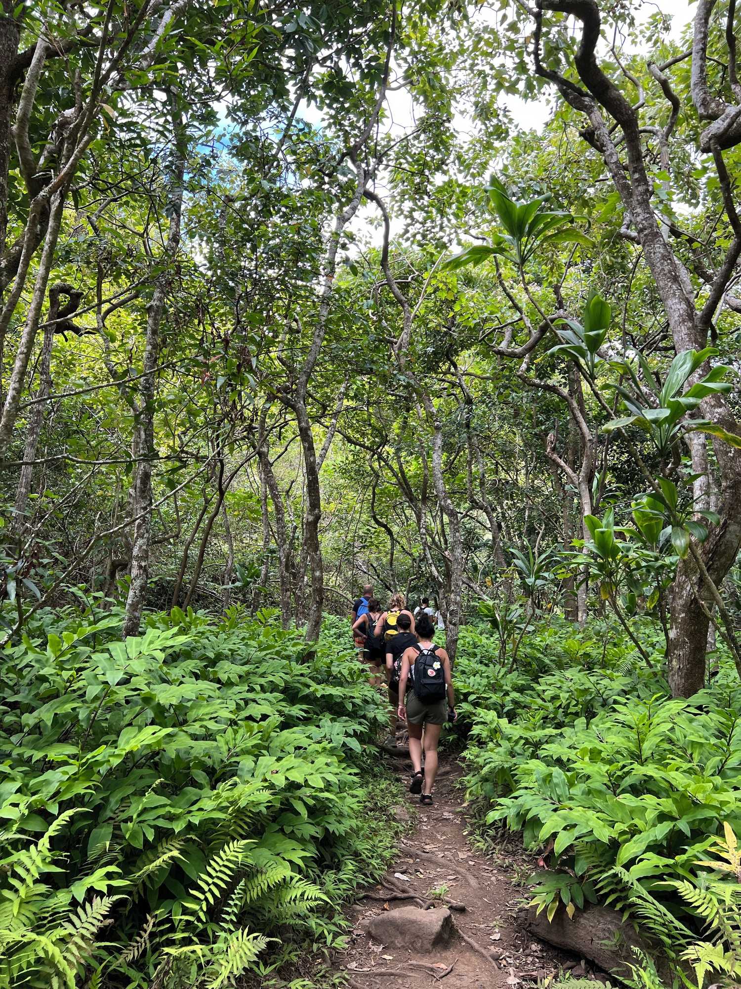 Gift card for Howzit Hostels Gift card for Howzit Hostels