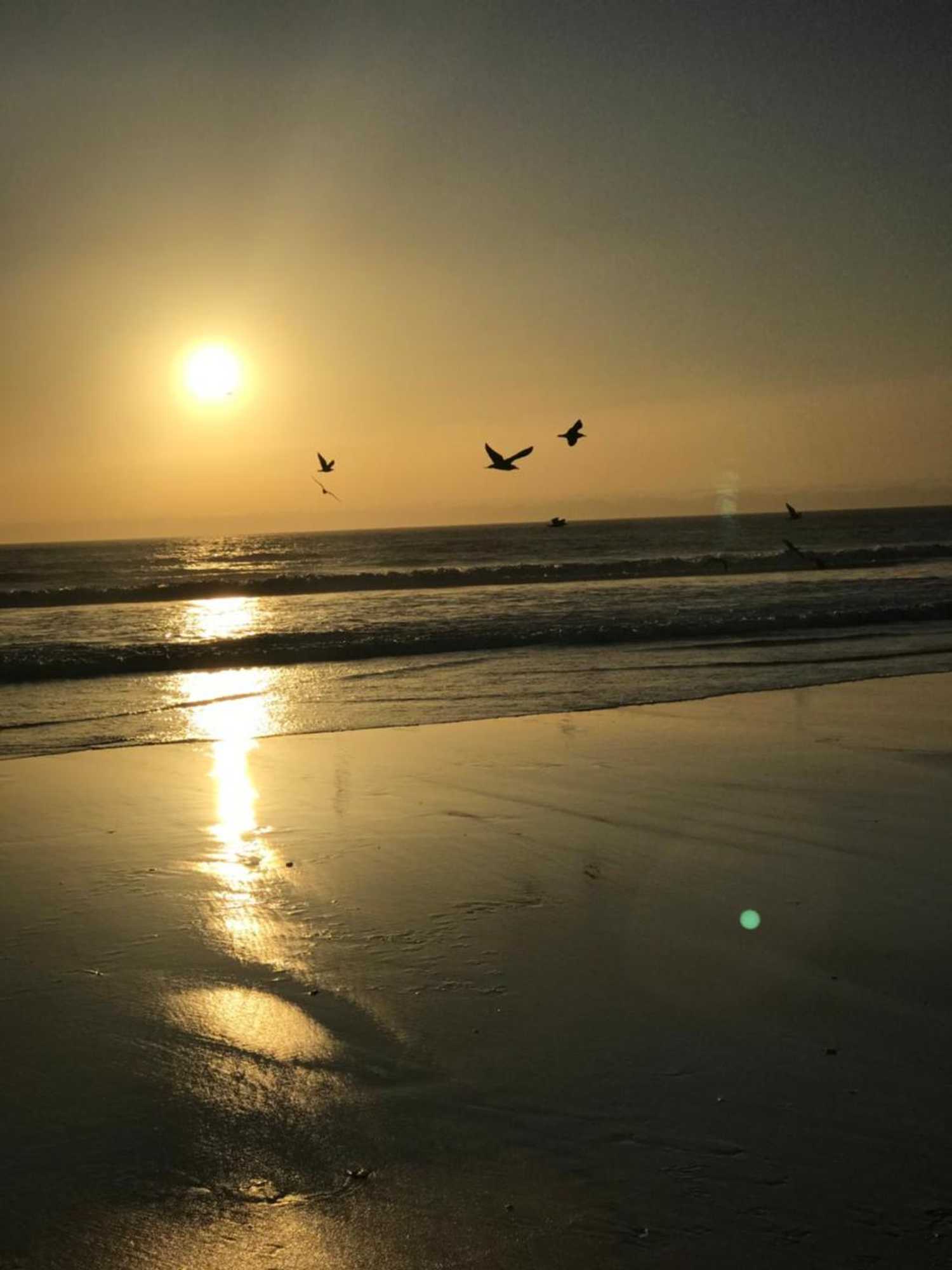 Gift card for O Pátio