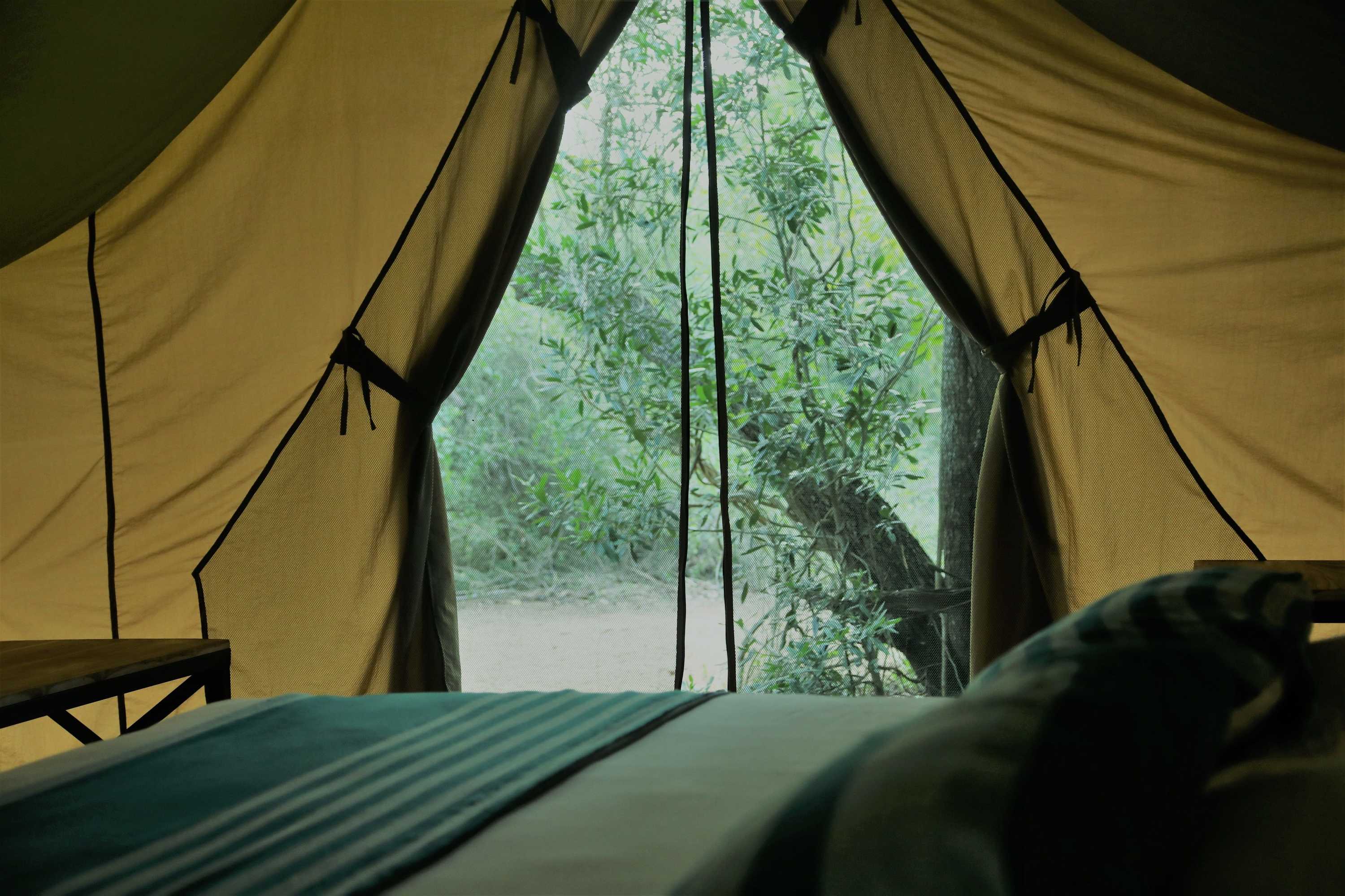 Gift card for Base Camp Wilpattu Gift card for Base Camp Wilpattu