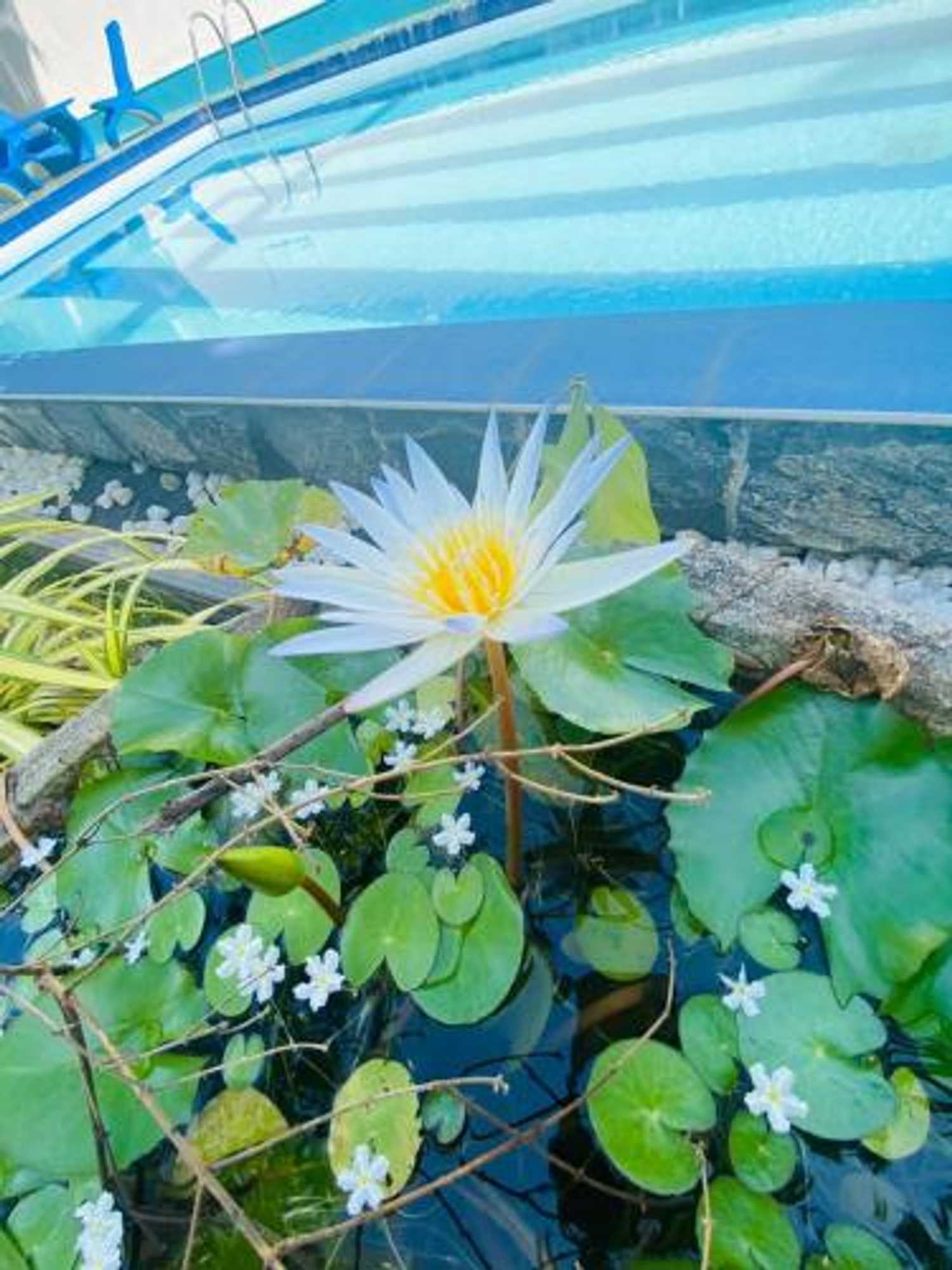 Gift card for Liyanage Resort Gift card for Liyanage Resort