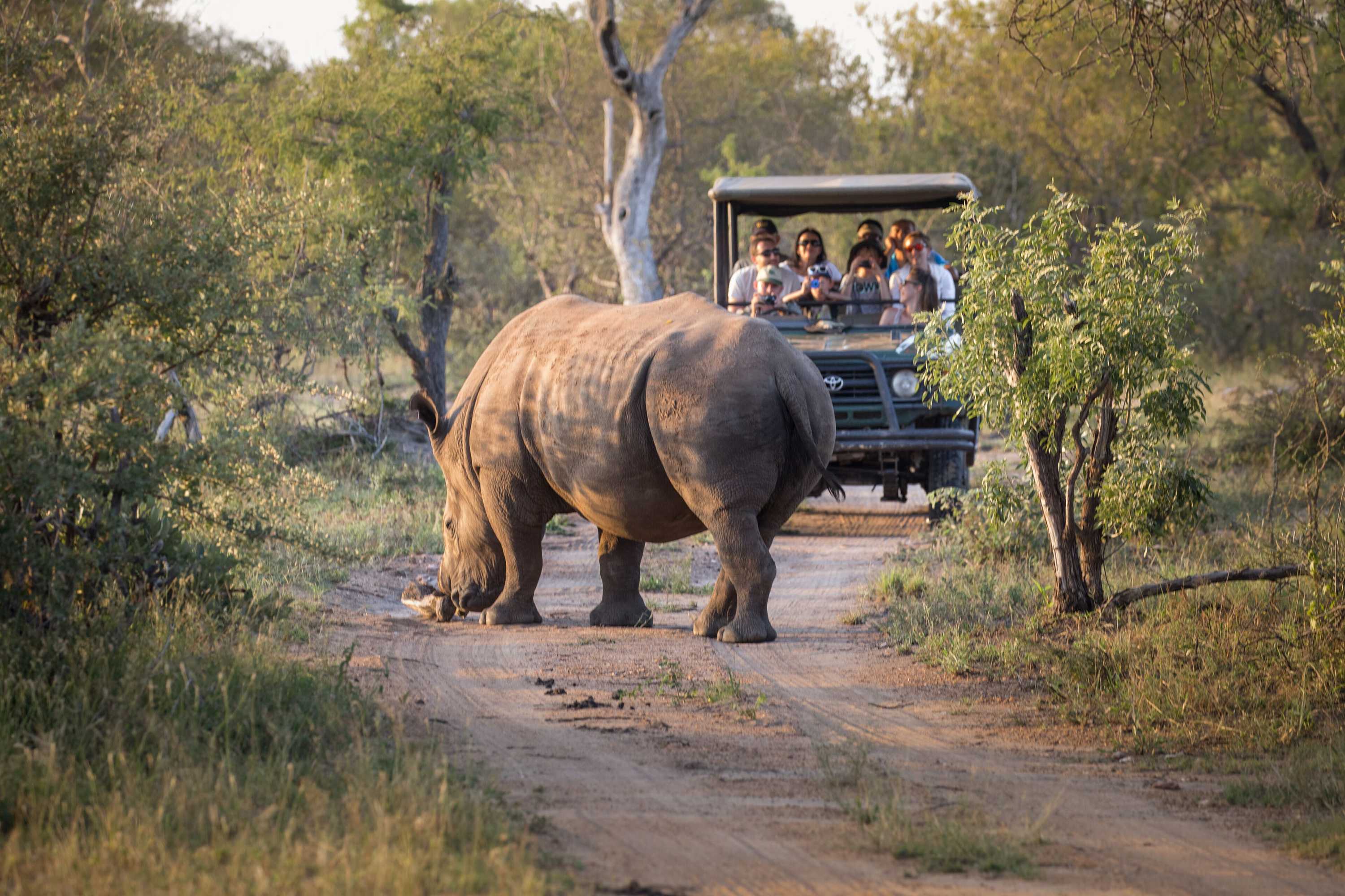 Gift card for Tshukudu Game Lodge Gift card for Tshukudu Game Lodge