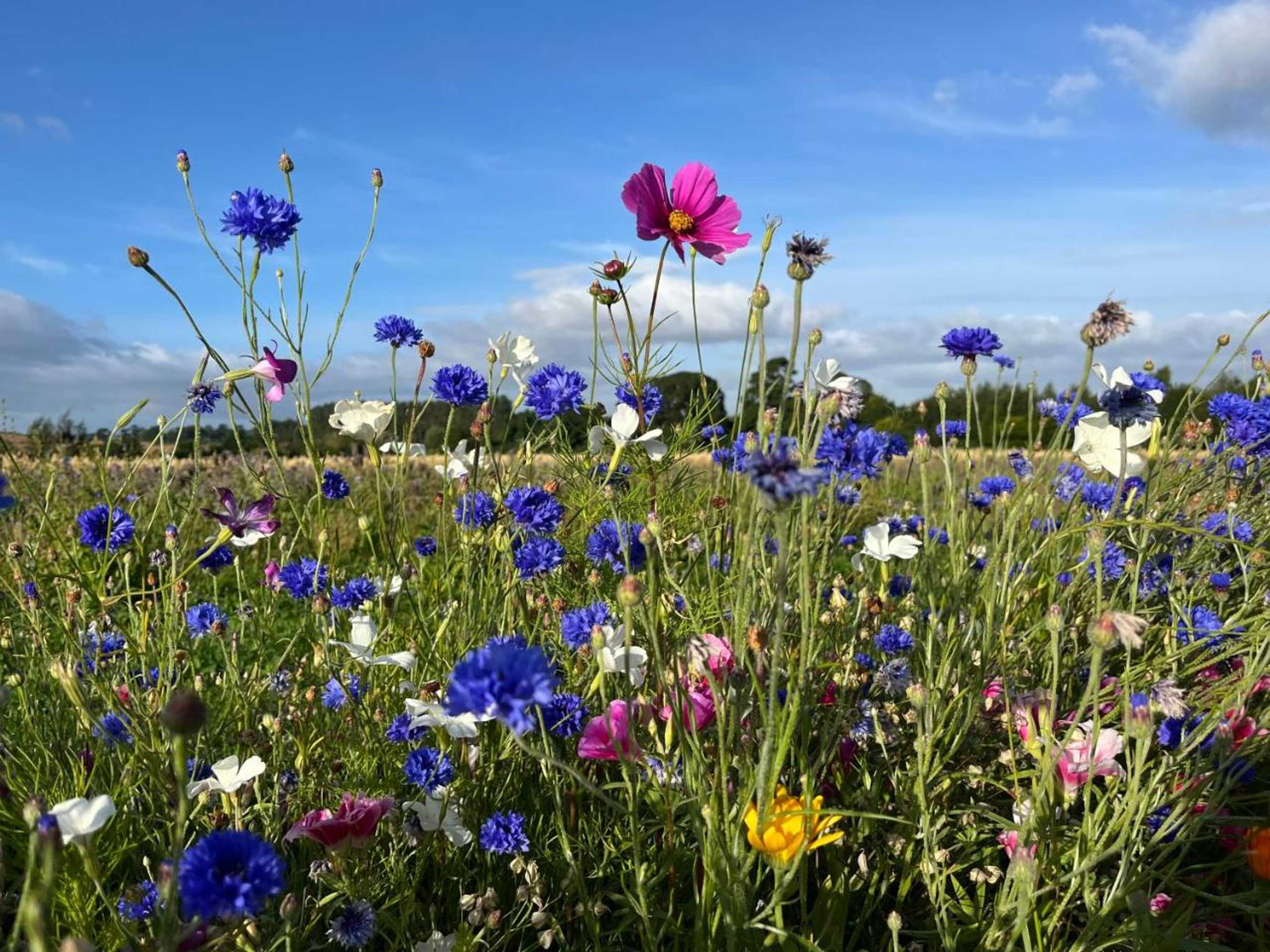 Gift card for Eden Hideaway