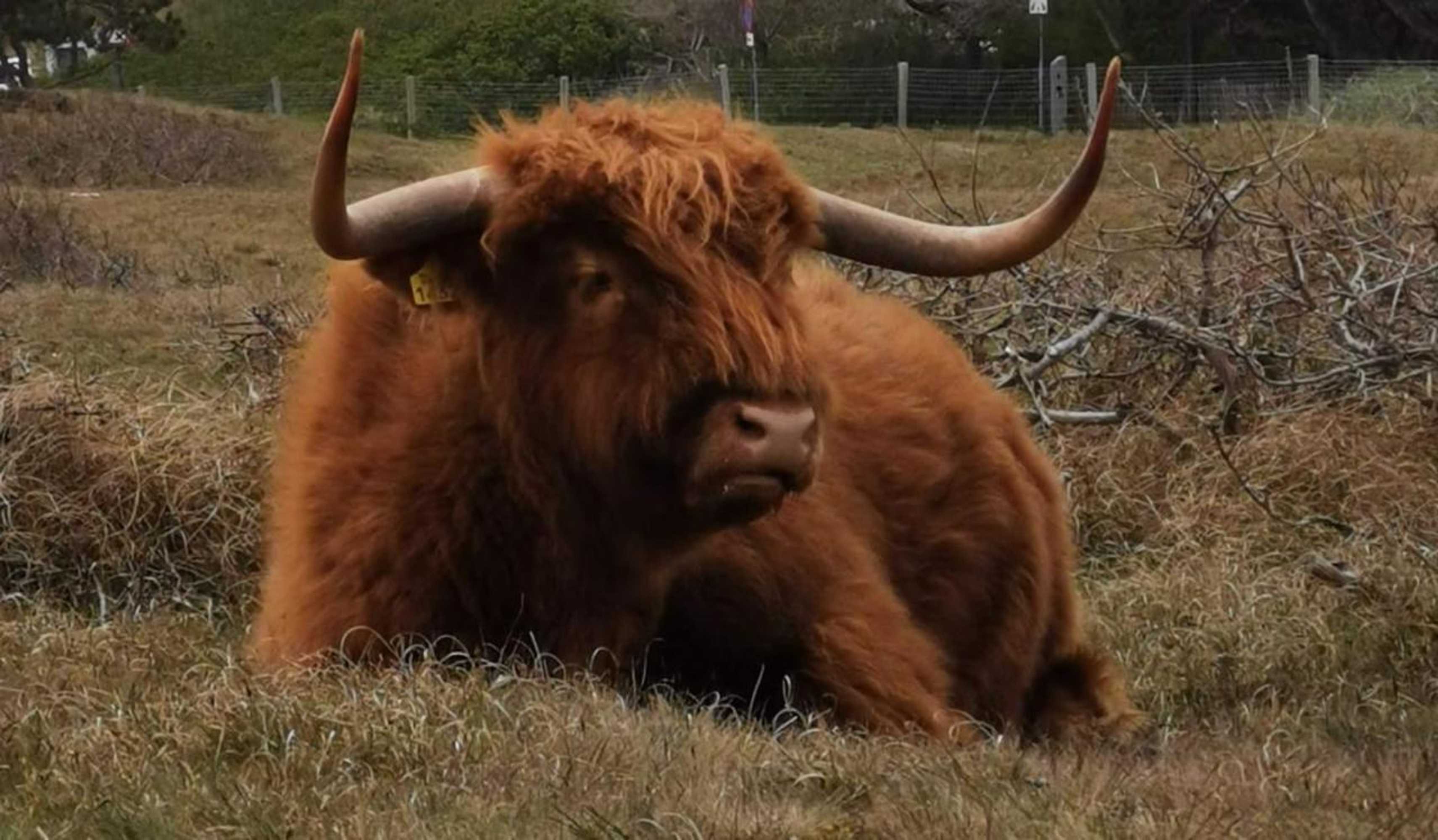 Gift card for ''op Stok