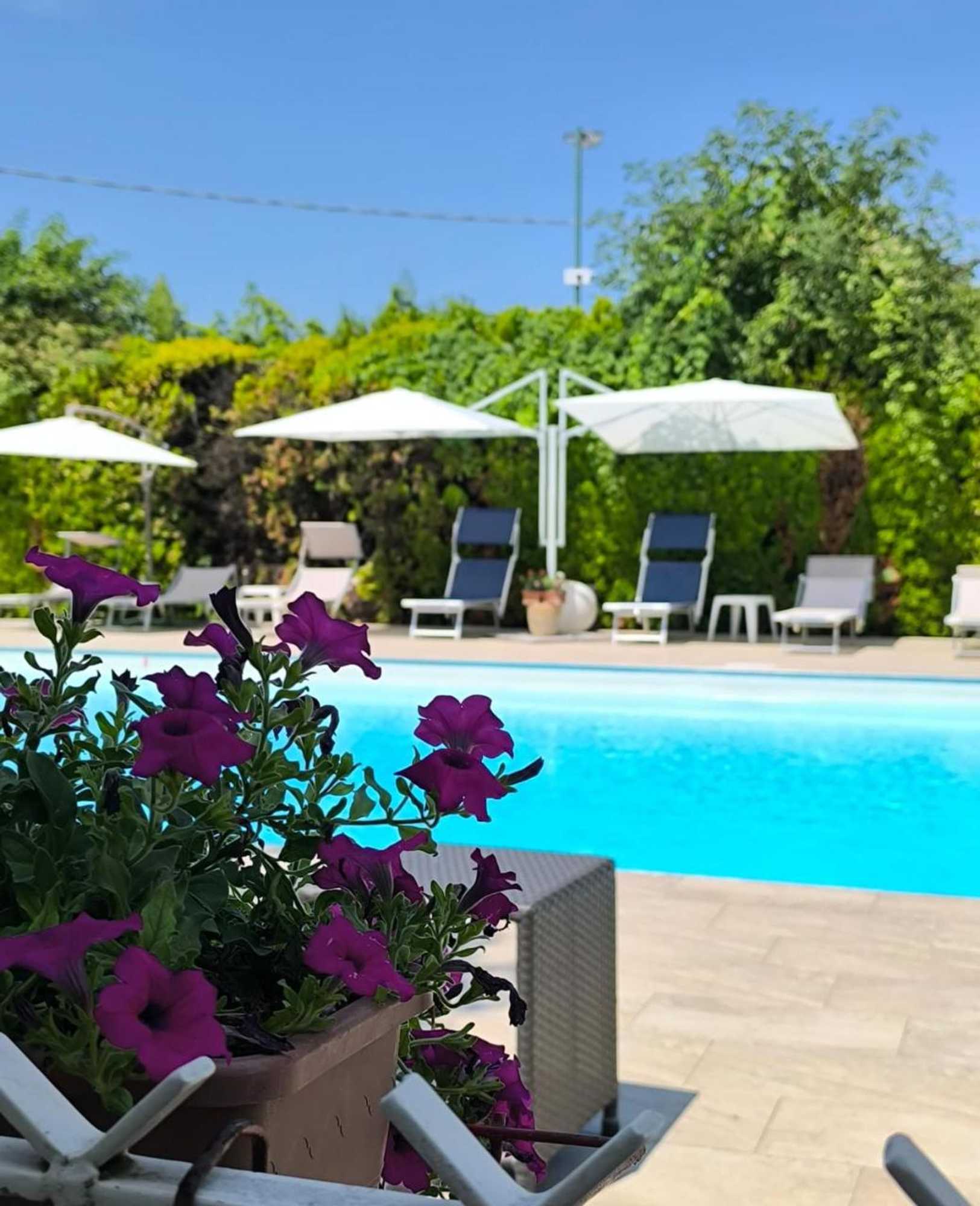 Gift card for Albergo Zoello Je Suis