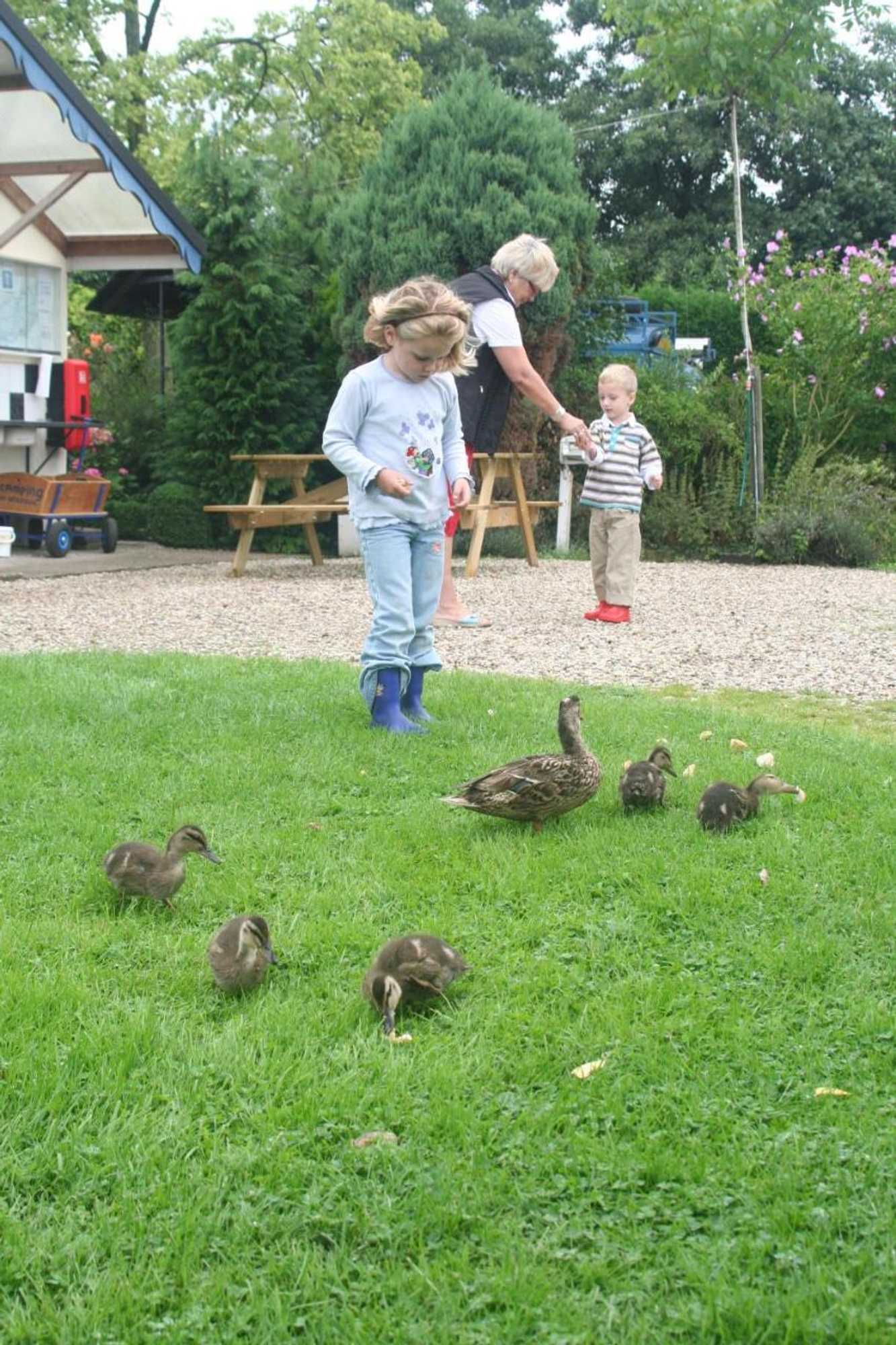 Gift card for Camping De Grienduil