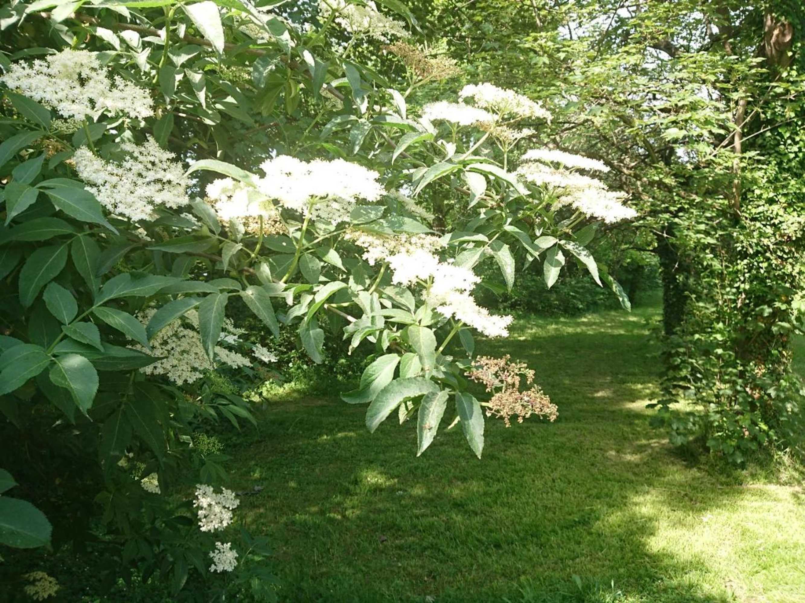 Gift card for Landgasthof Gänsberg