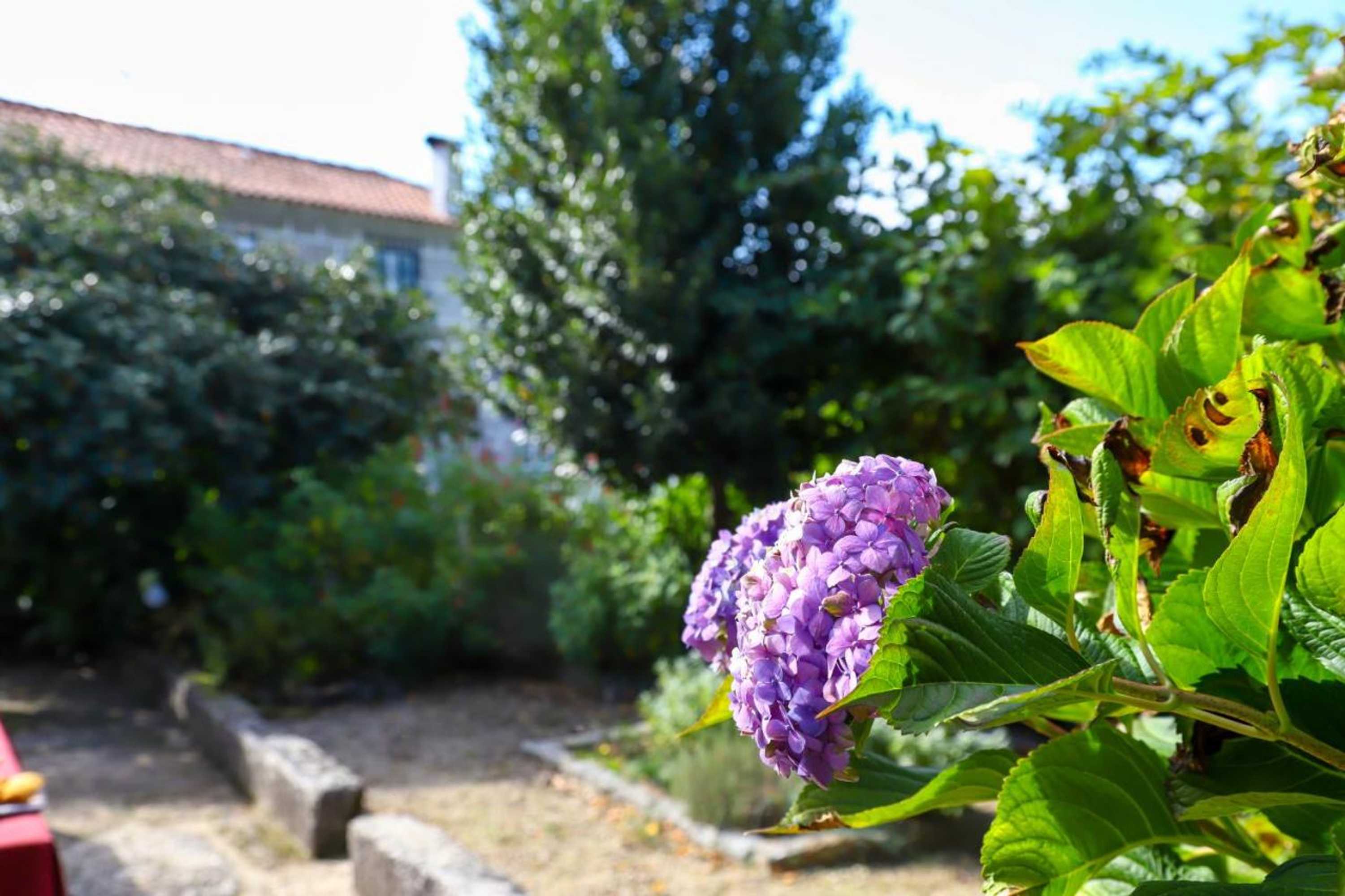 Gift card for Casa De Carcavelos Gift card for Casa De Carcavelos