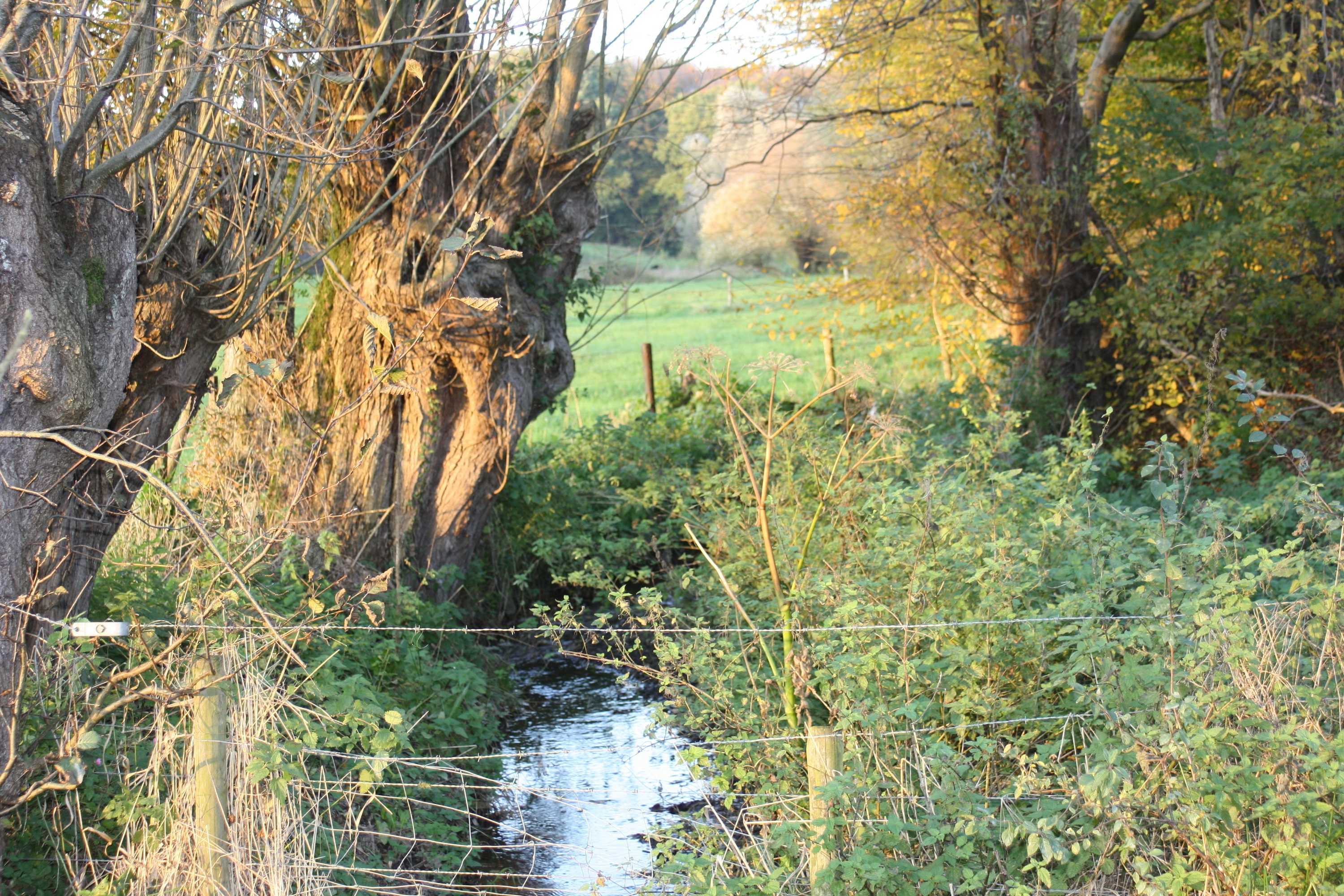 Gift card for Ô Macra