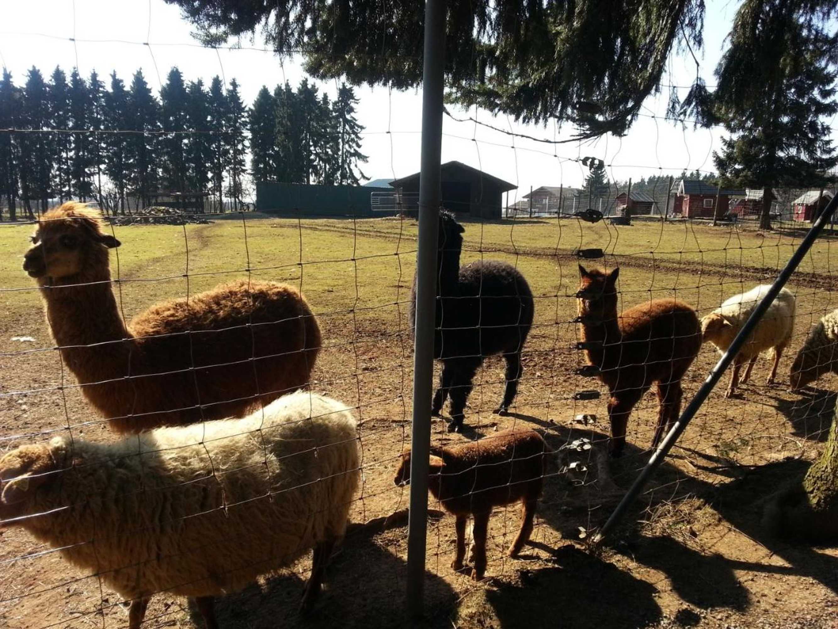 Gift card for Ferienwohnungen Angela