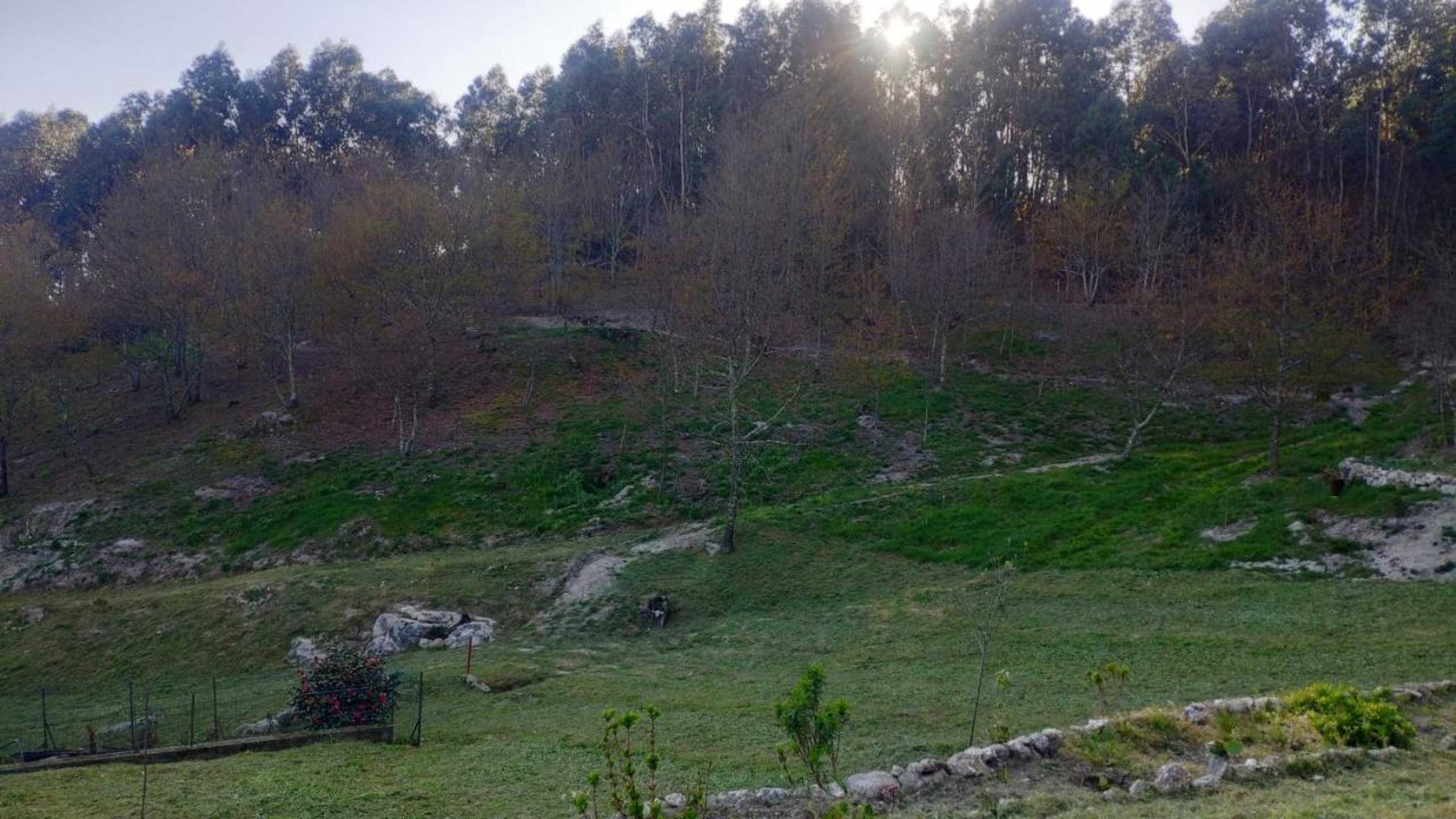 Gift card for O Aconchego Das Raízes