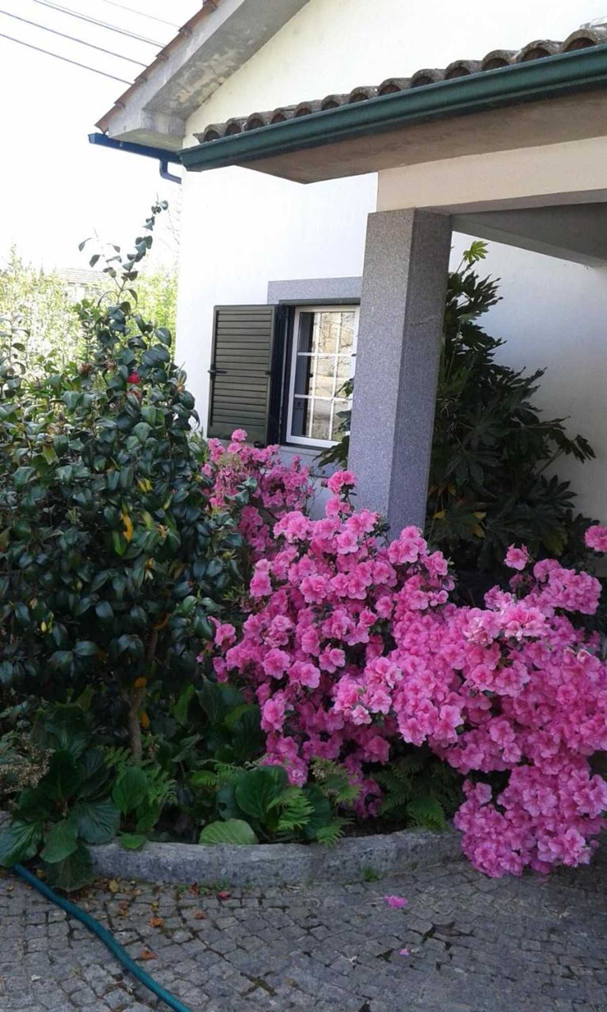 Gift card for Casa Pinho