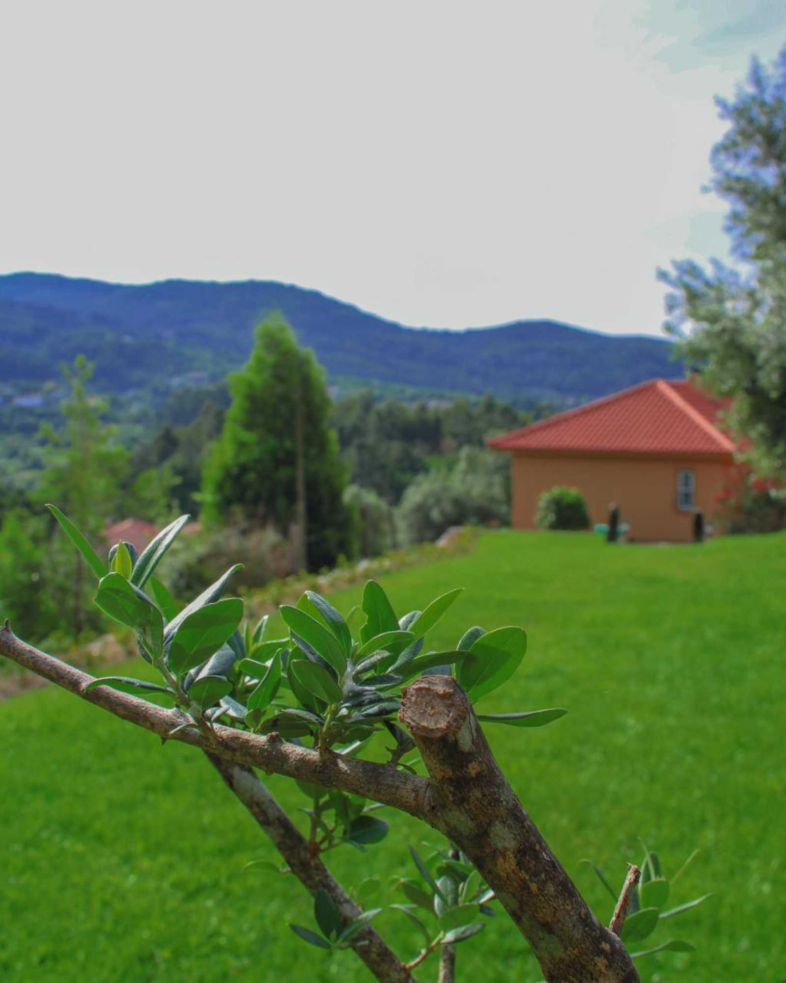 Gift card for Casa da Chitas