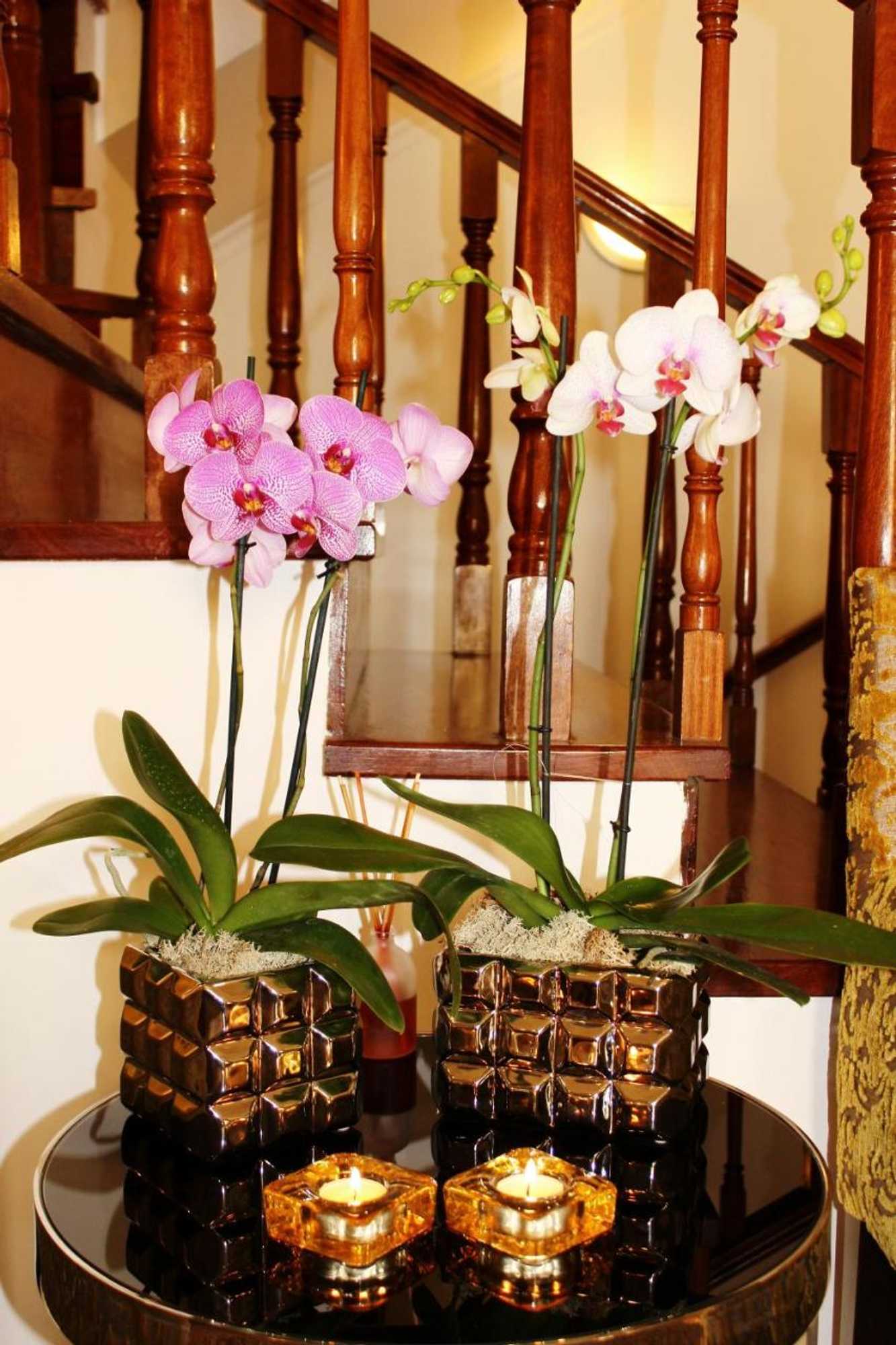 Gift card for Residencial Imperial