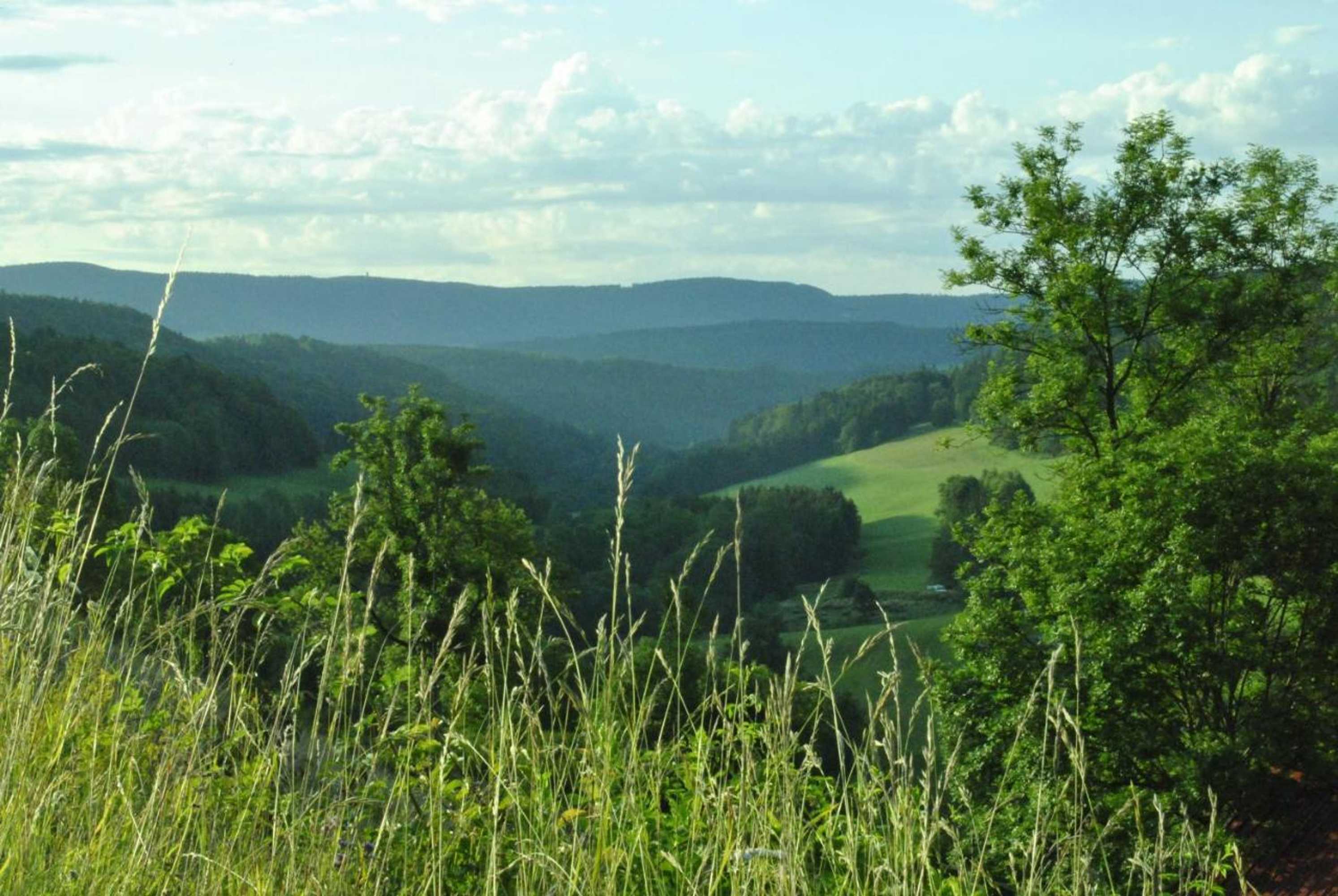 Gift card for Gasthaus Kranz