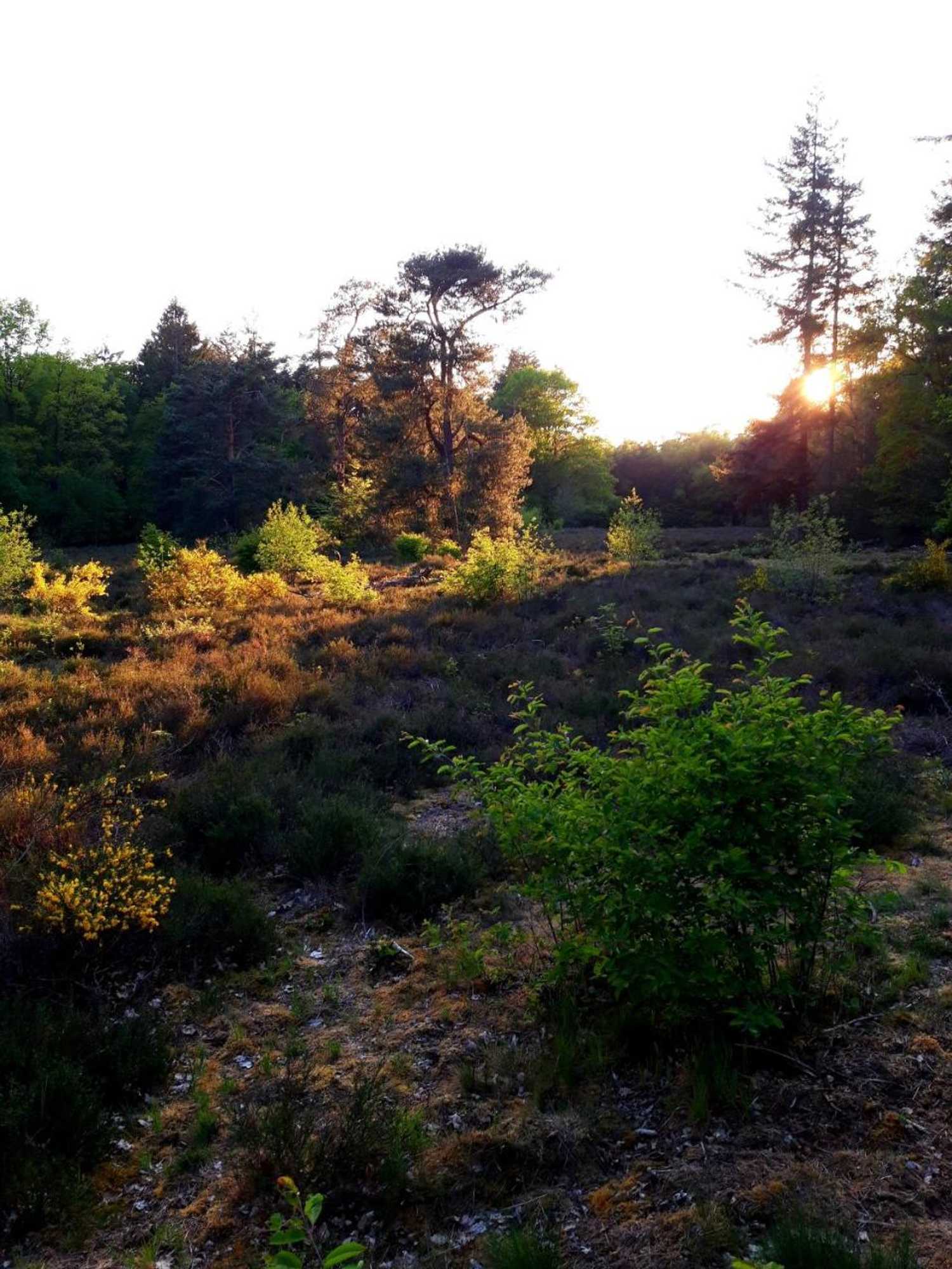 Gift card for Erve Punte