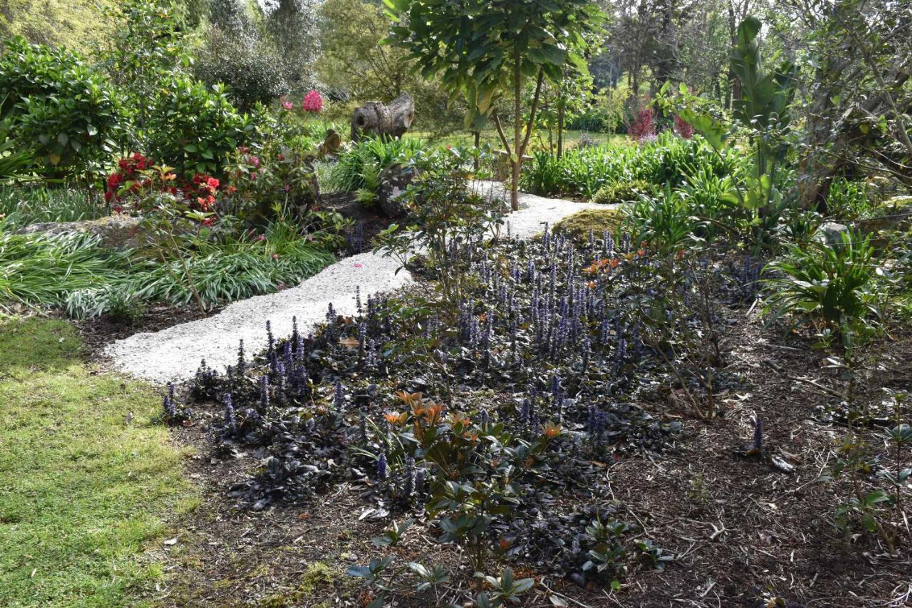 Gift card for Kerikeri Garden Homestead