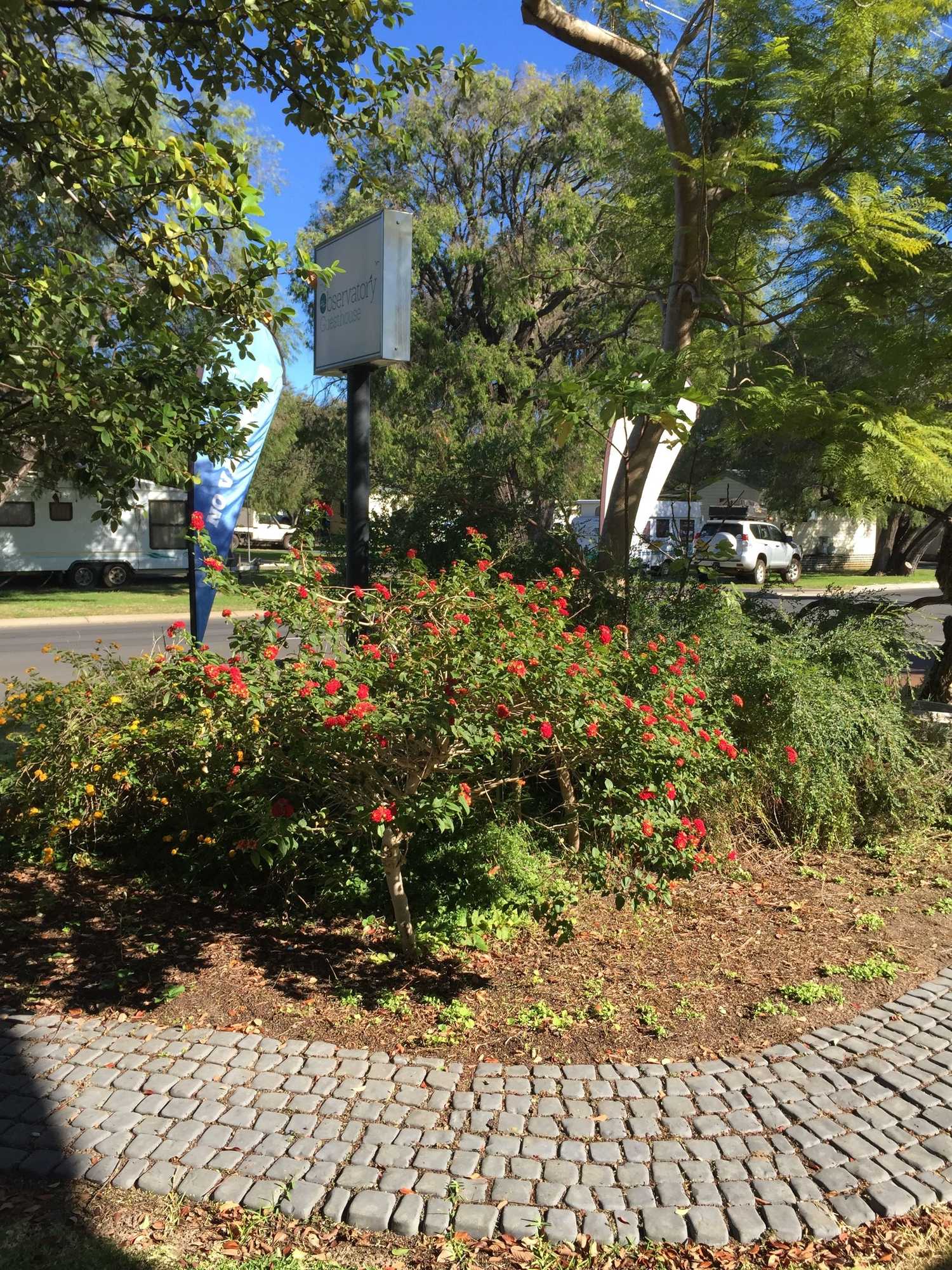 Gift card for Observatory Guesthouse - Adults Only